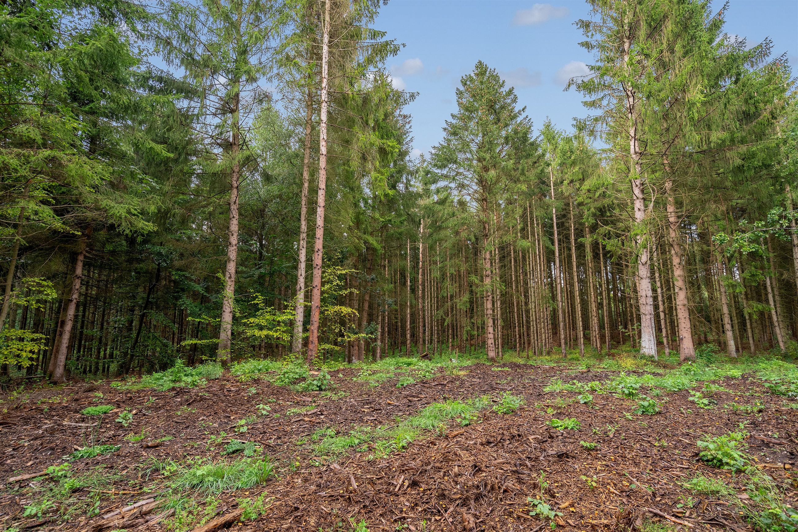  - Vinderslevholmvej 58, Hingeballe