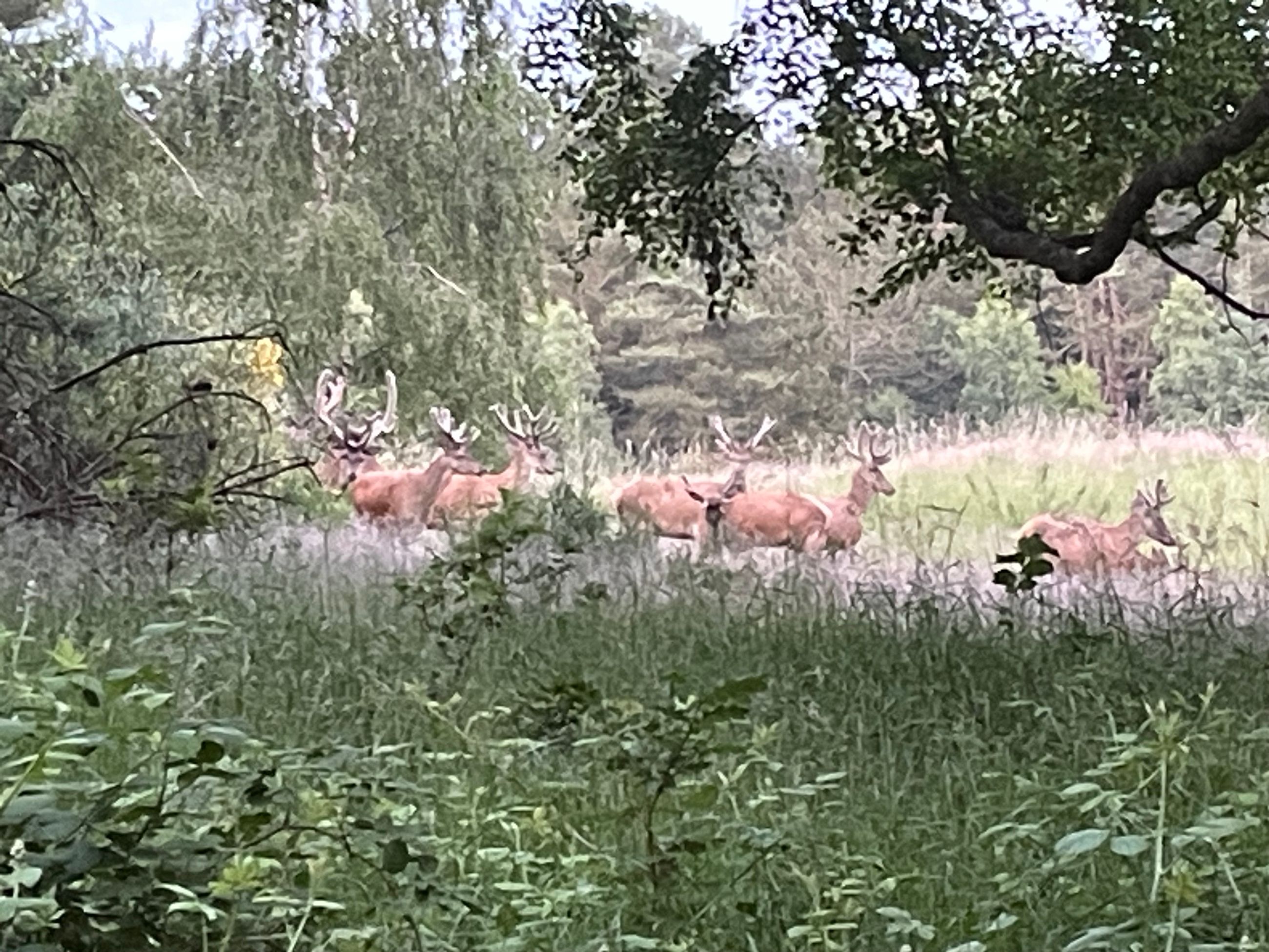  - Jeshøjvej 4, Feldballe