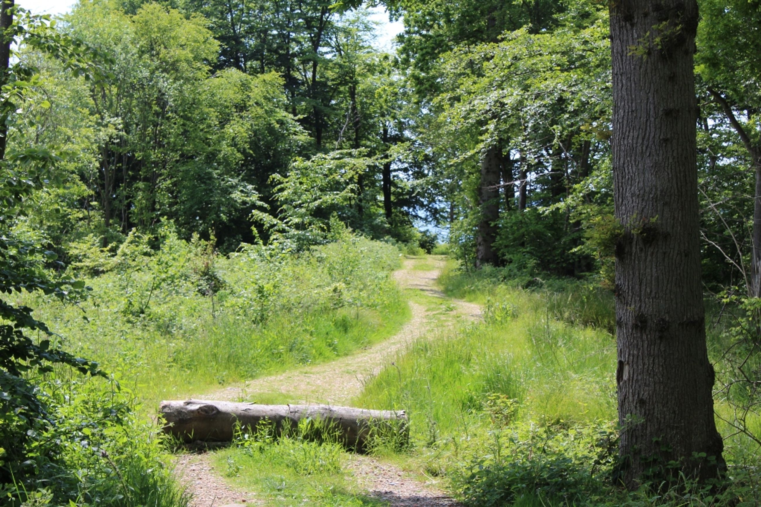  - Skullebjergvej 50, Trelde Mark