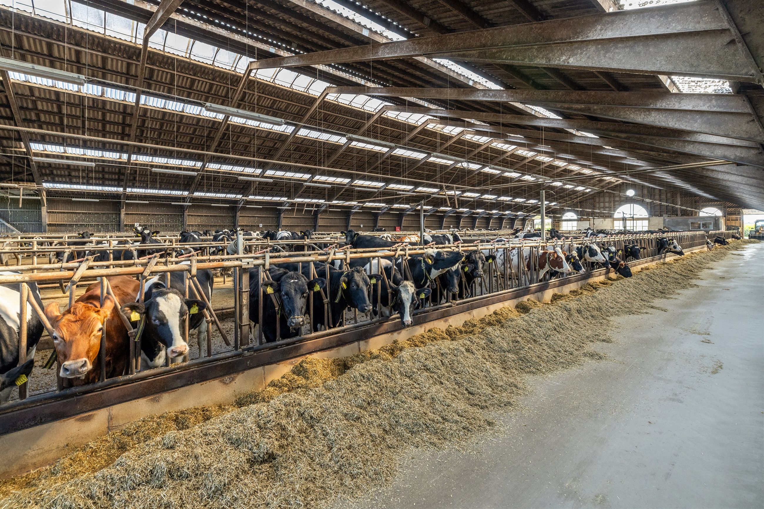  - Søndre Lyngvej 26, Aarsballe