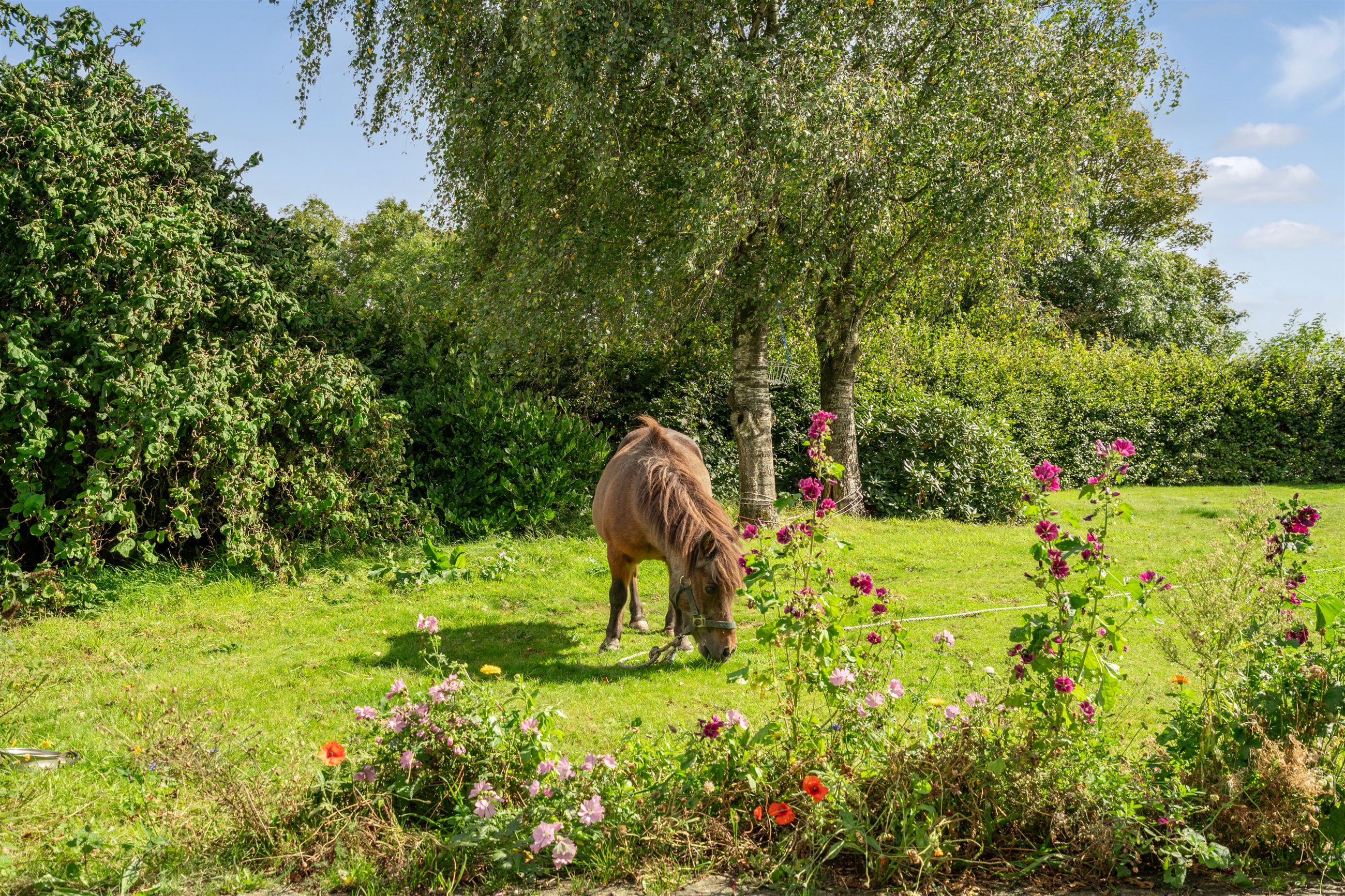  - Lykkebjergvej 60, Sig