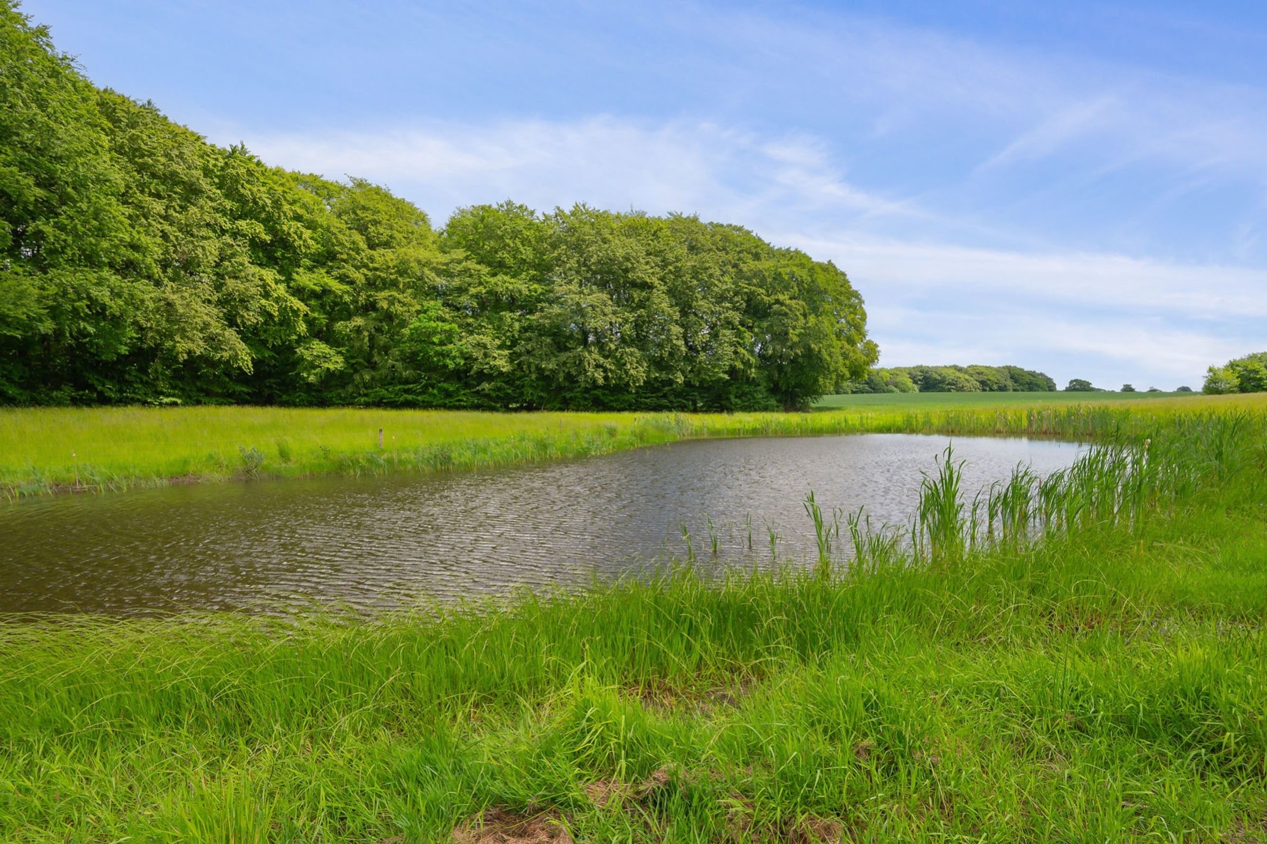 - Adslev Skovvej 14, Adslev