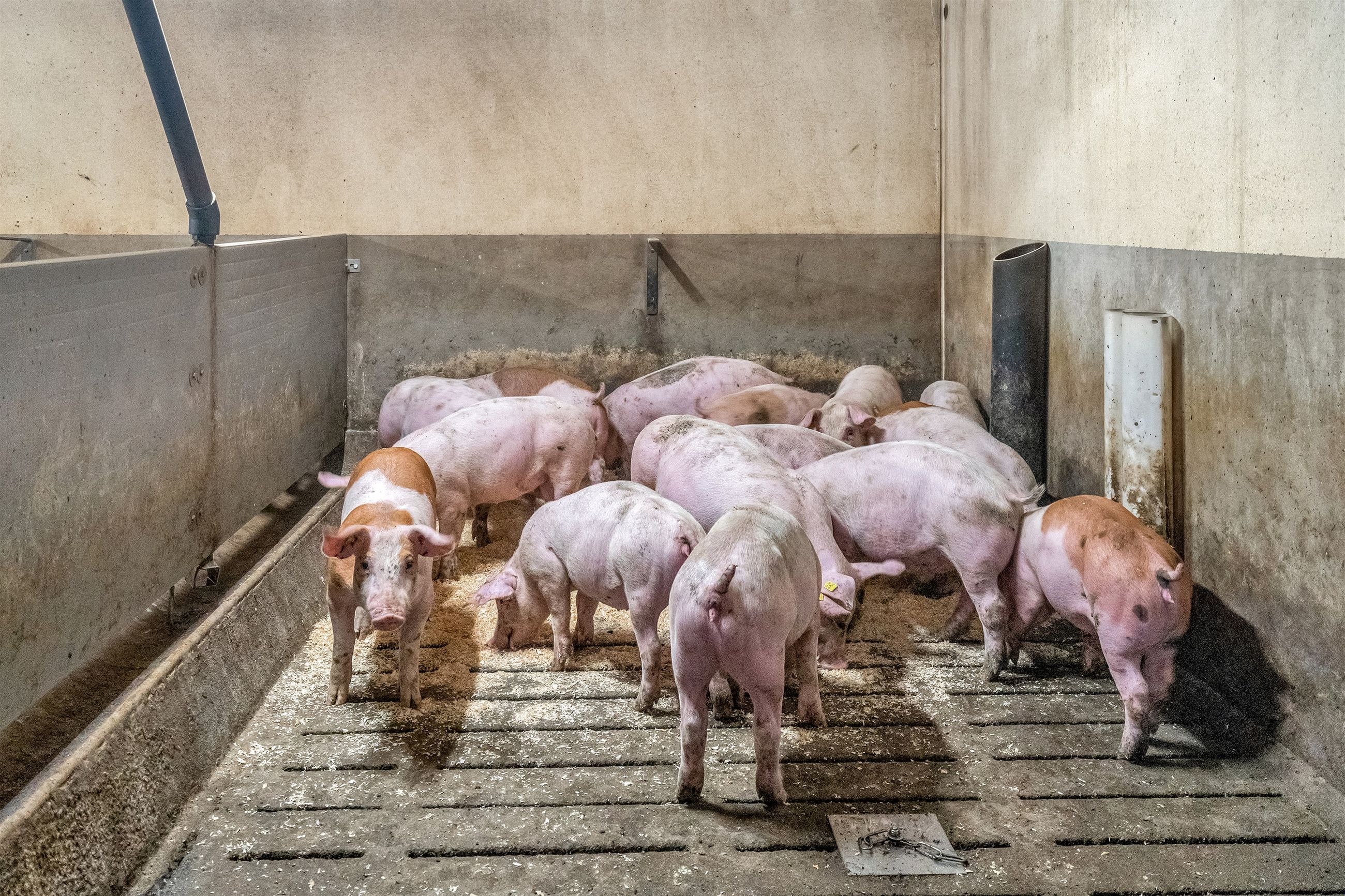  - Villerslevvej 75, Gammelby