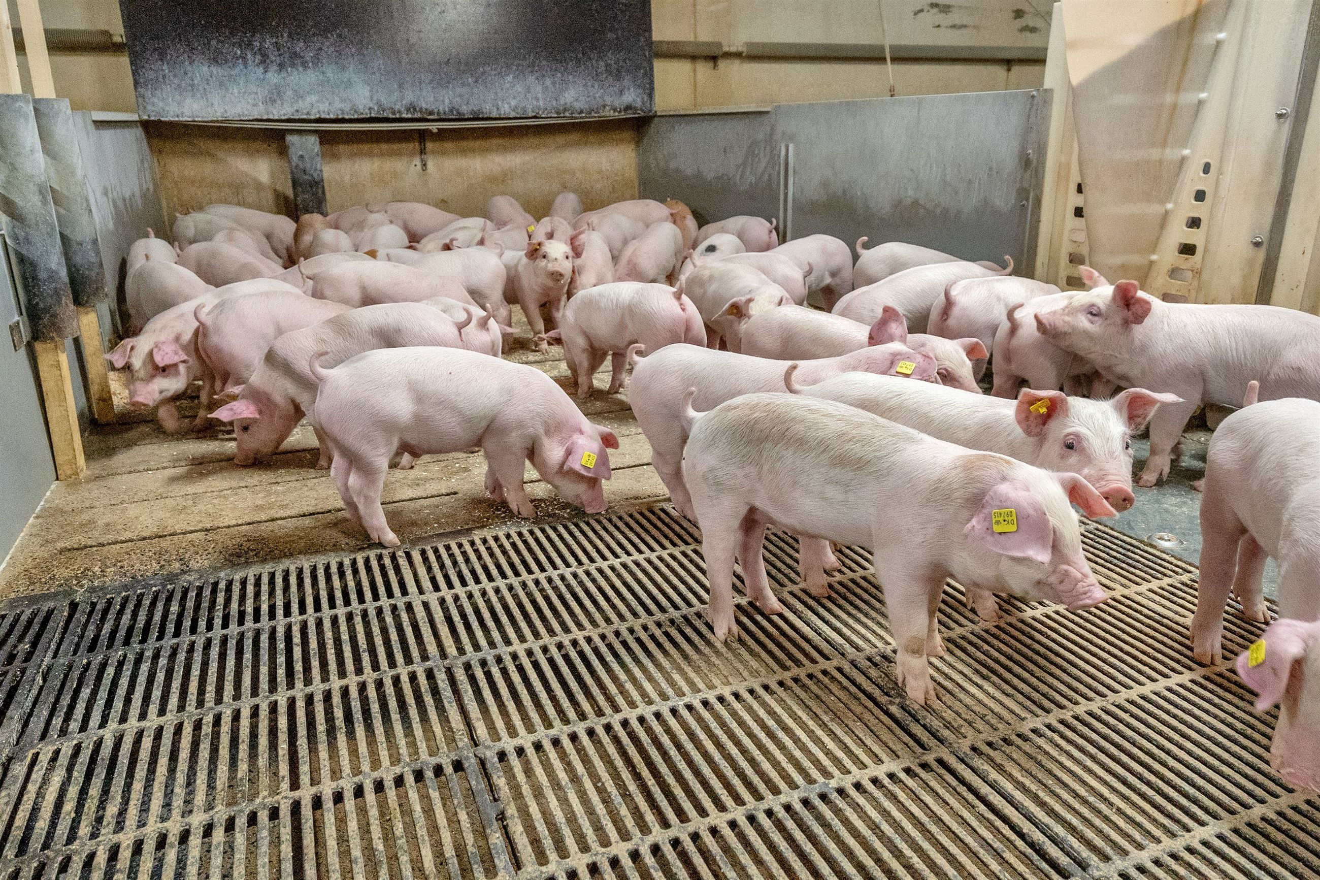  - Villerslevvej 75, Gammelby