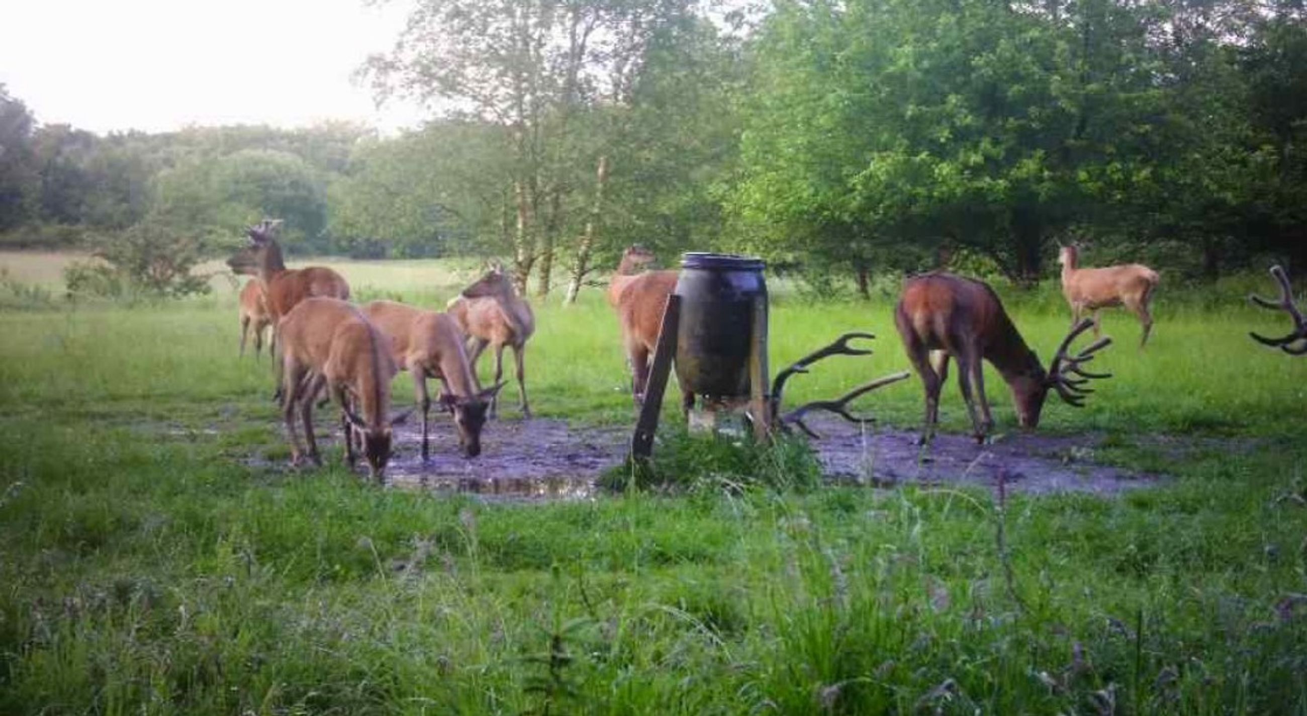  - Grønholtvej 4, Grønholt