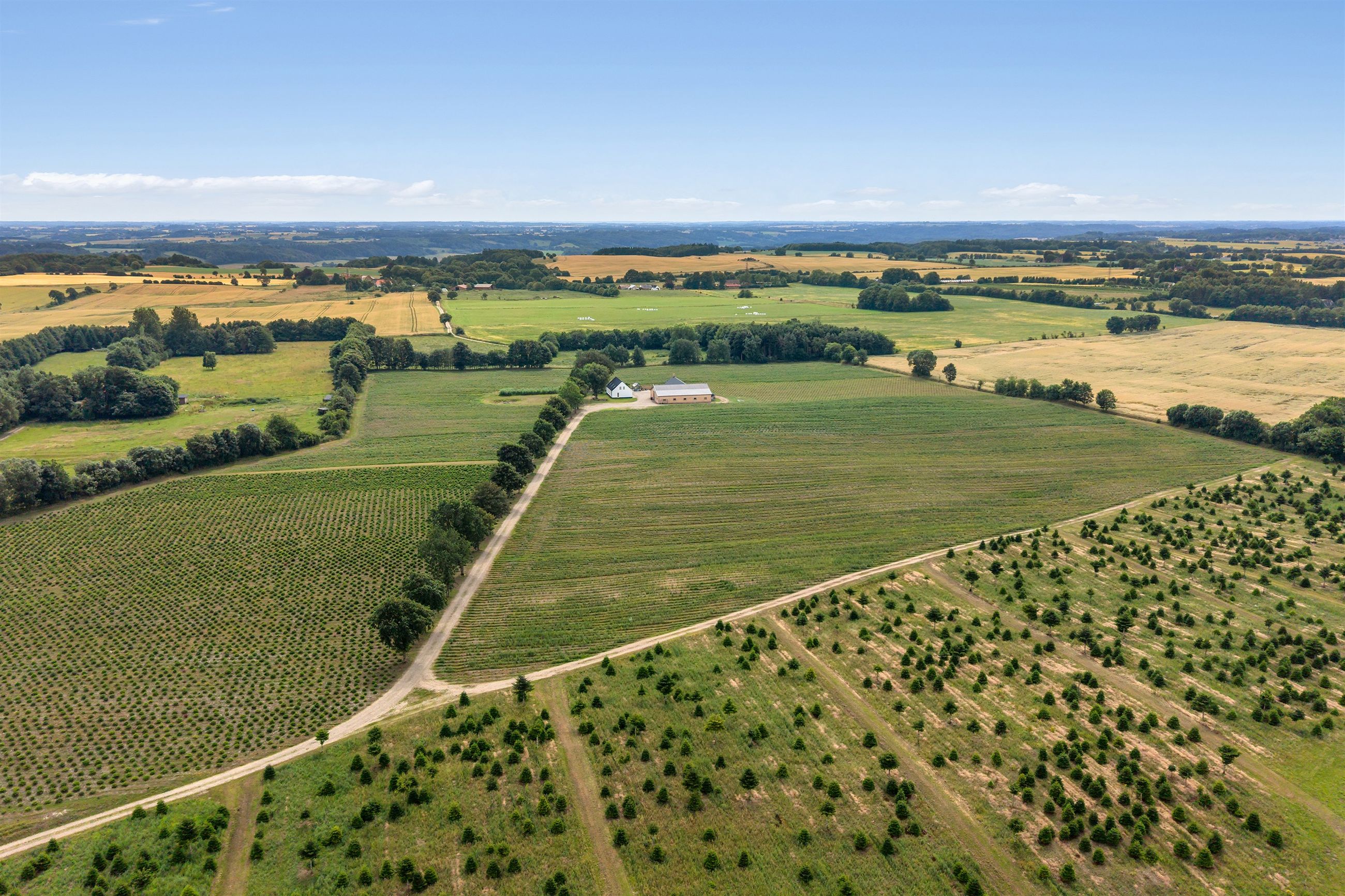 Skovdallundvej 6, 7300 Jelling