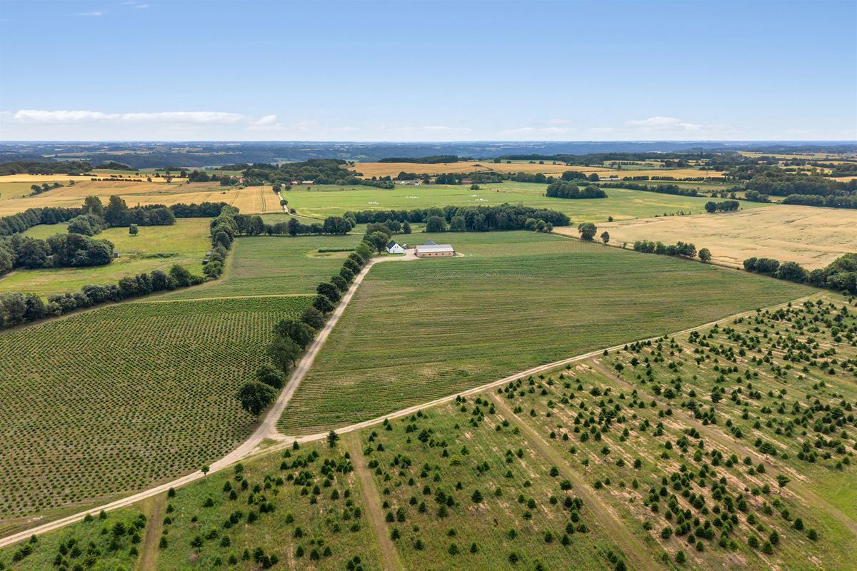 Skovdallundvej 6, 7300 Jelling