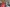 - Sellerupvej 23, Sellerup