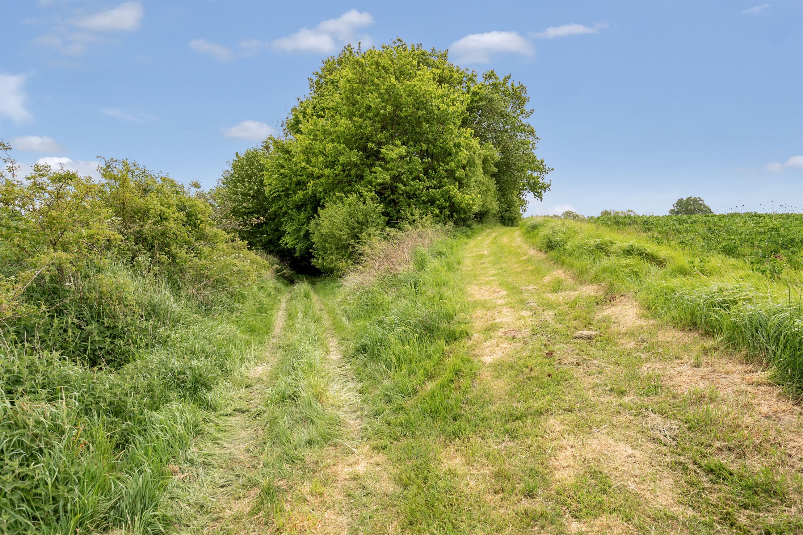  - Bavnbjergvej 8, Grejs Øst