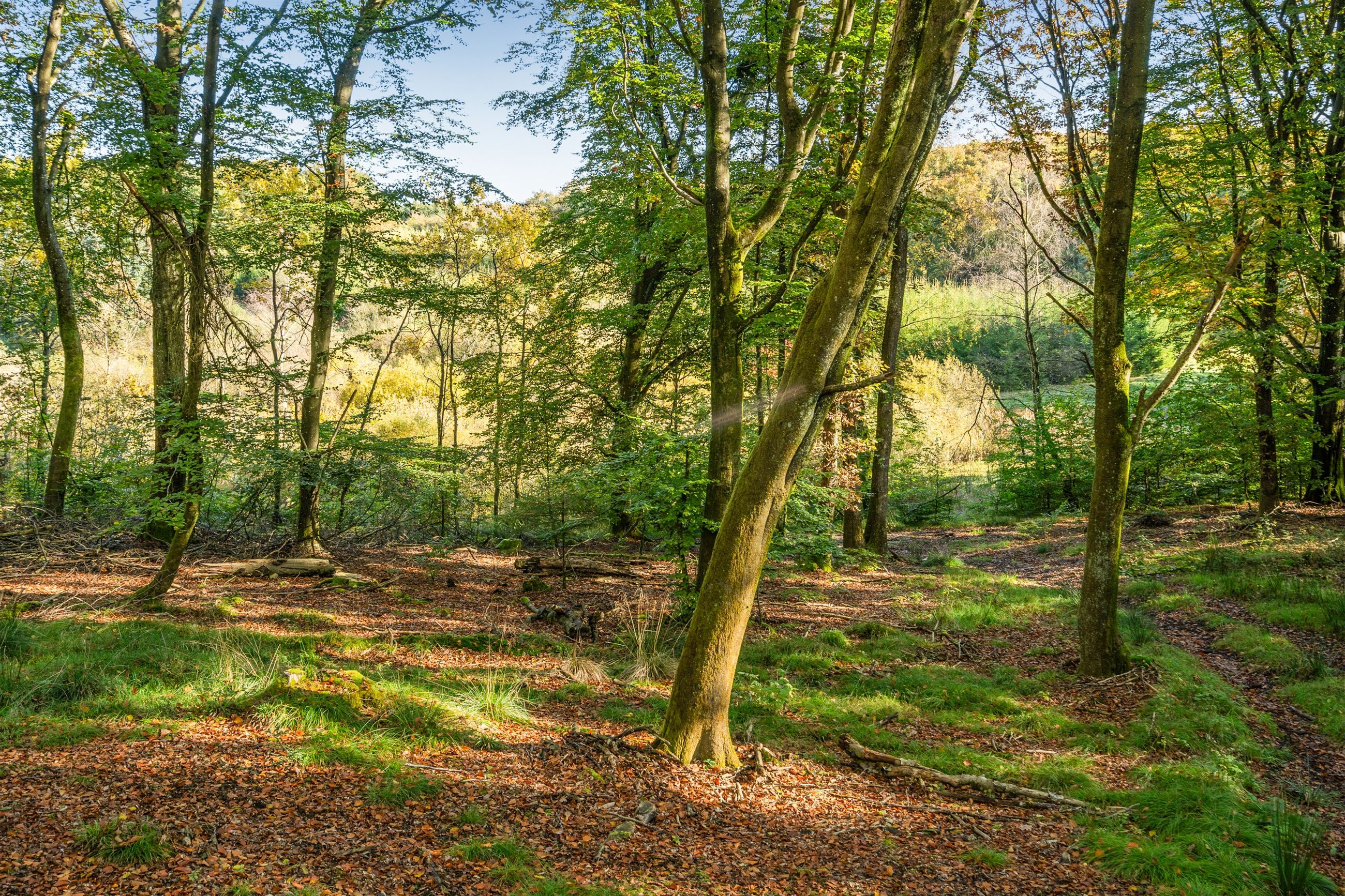  - Holmsgårdvej 4, Tykhøjet