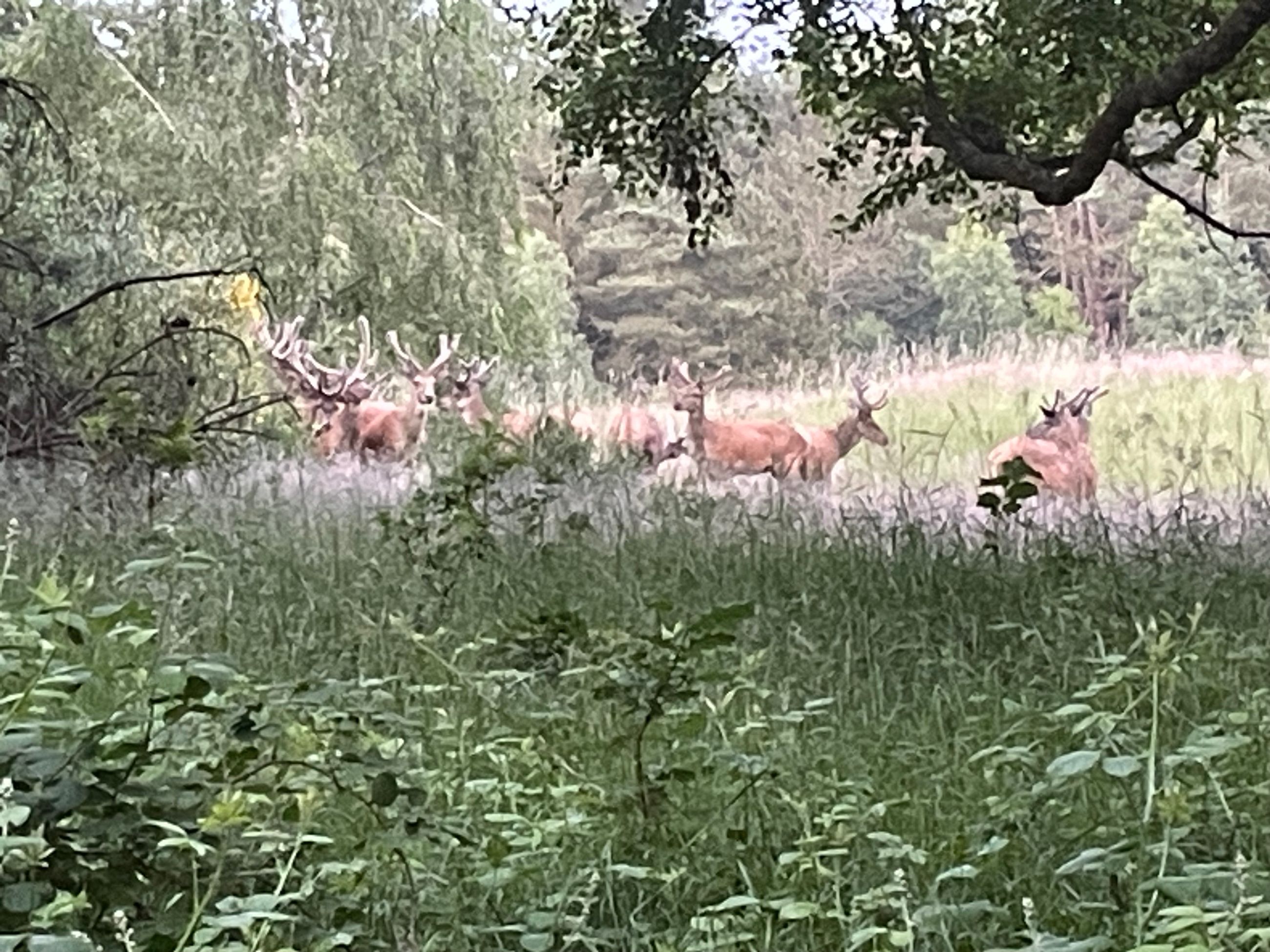  - Jeshøjvej 4, Feldballe