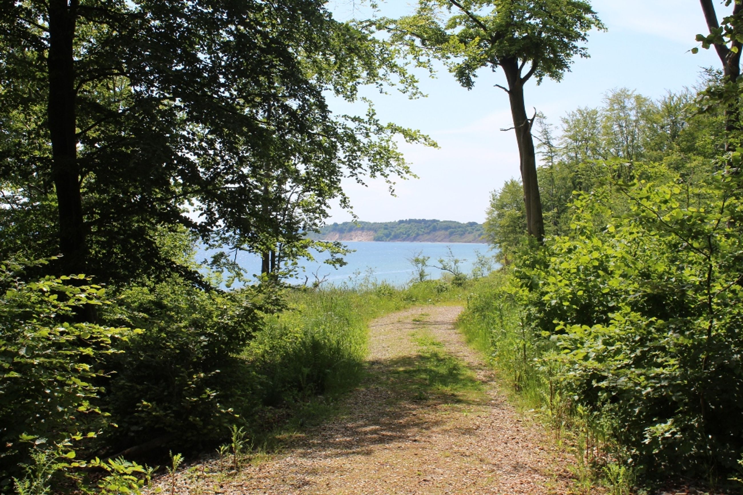  - Skullebjergvej 50, Trelde Mark