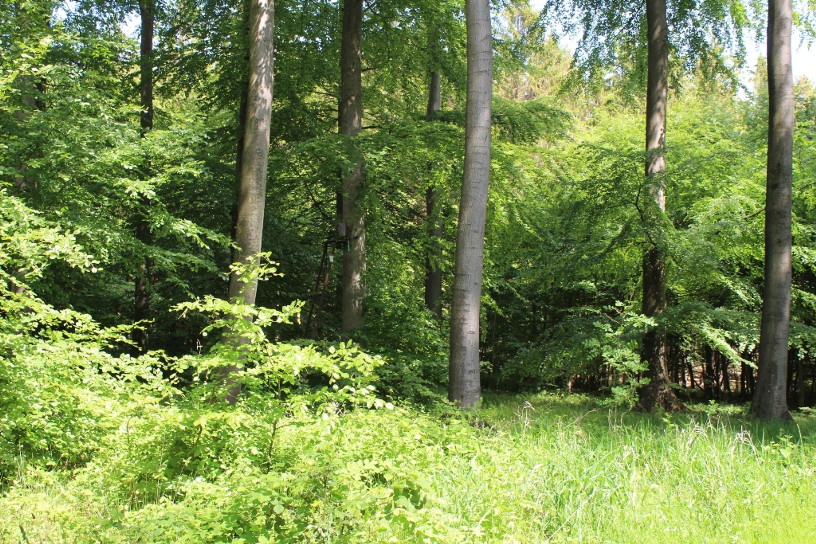  - Skullebjergvej 50, Trelde Mark