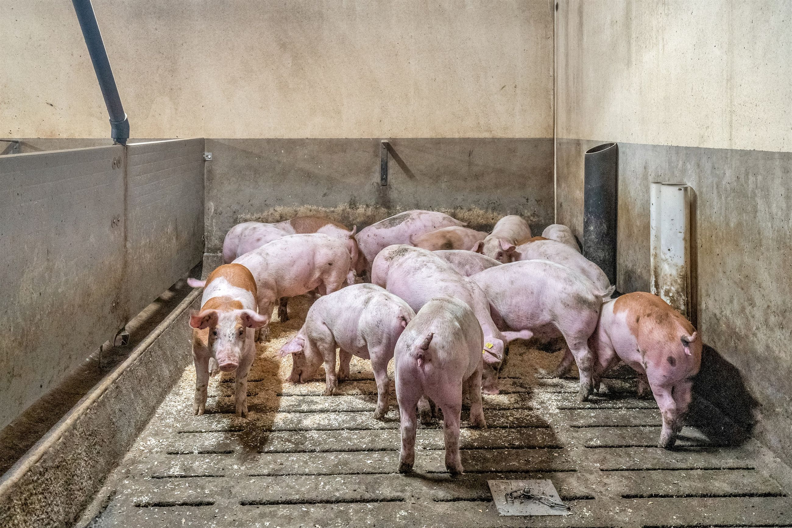  - Villerslevvej 75, Gammelby