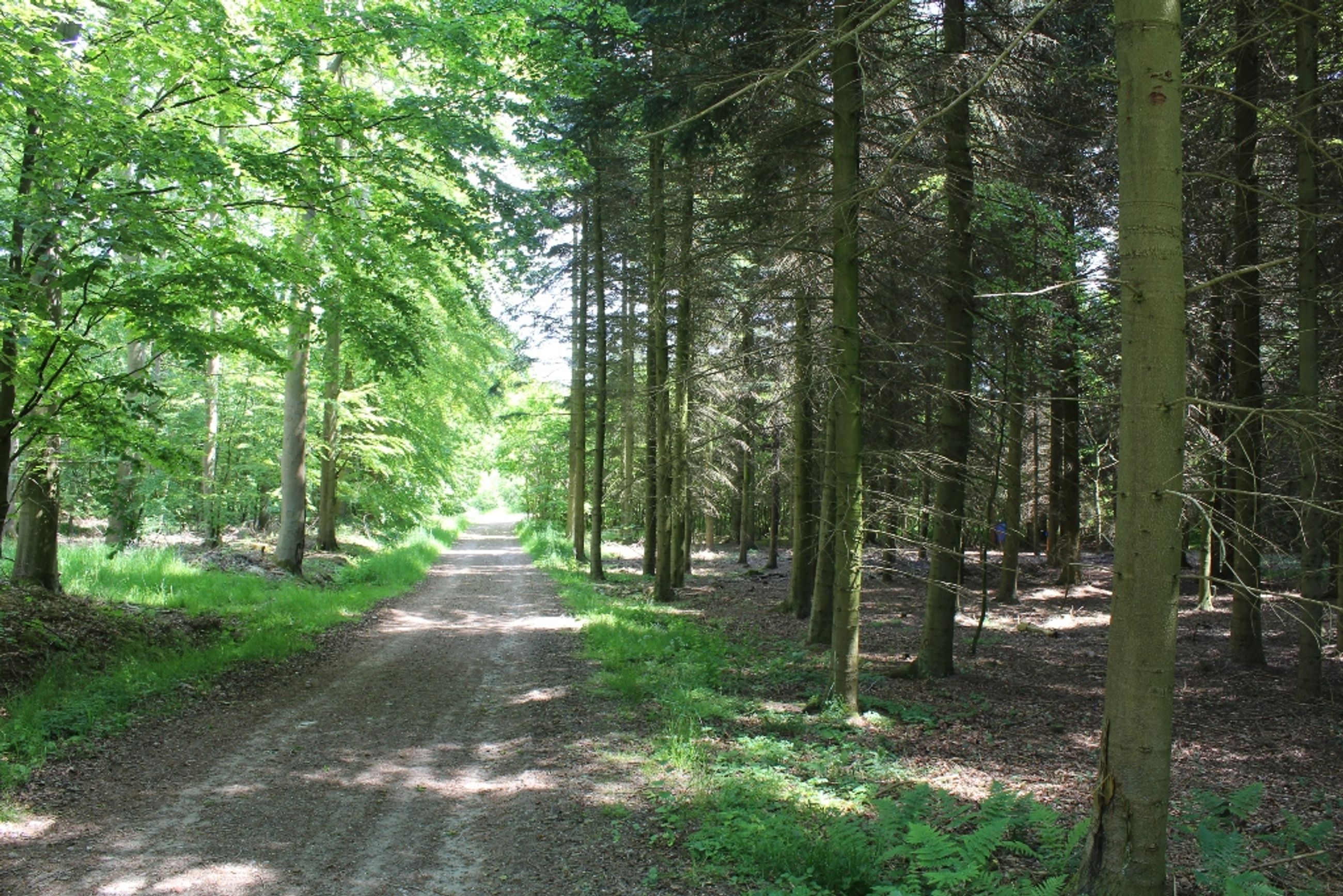  - Skullebjergvej 50, Trelde Mark