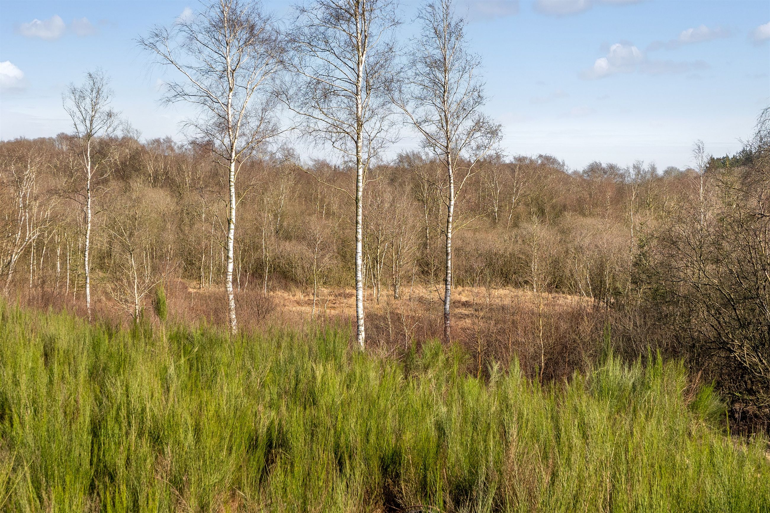  - Brande Landevej 18, Møbjerg