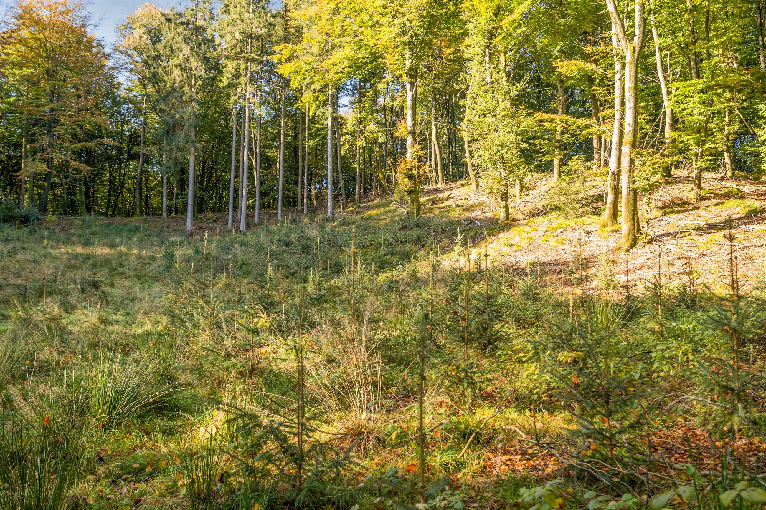  - Holmsgårdvej 4, Tykhøjet