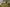 - Sellerupvej 23, Sellerup