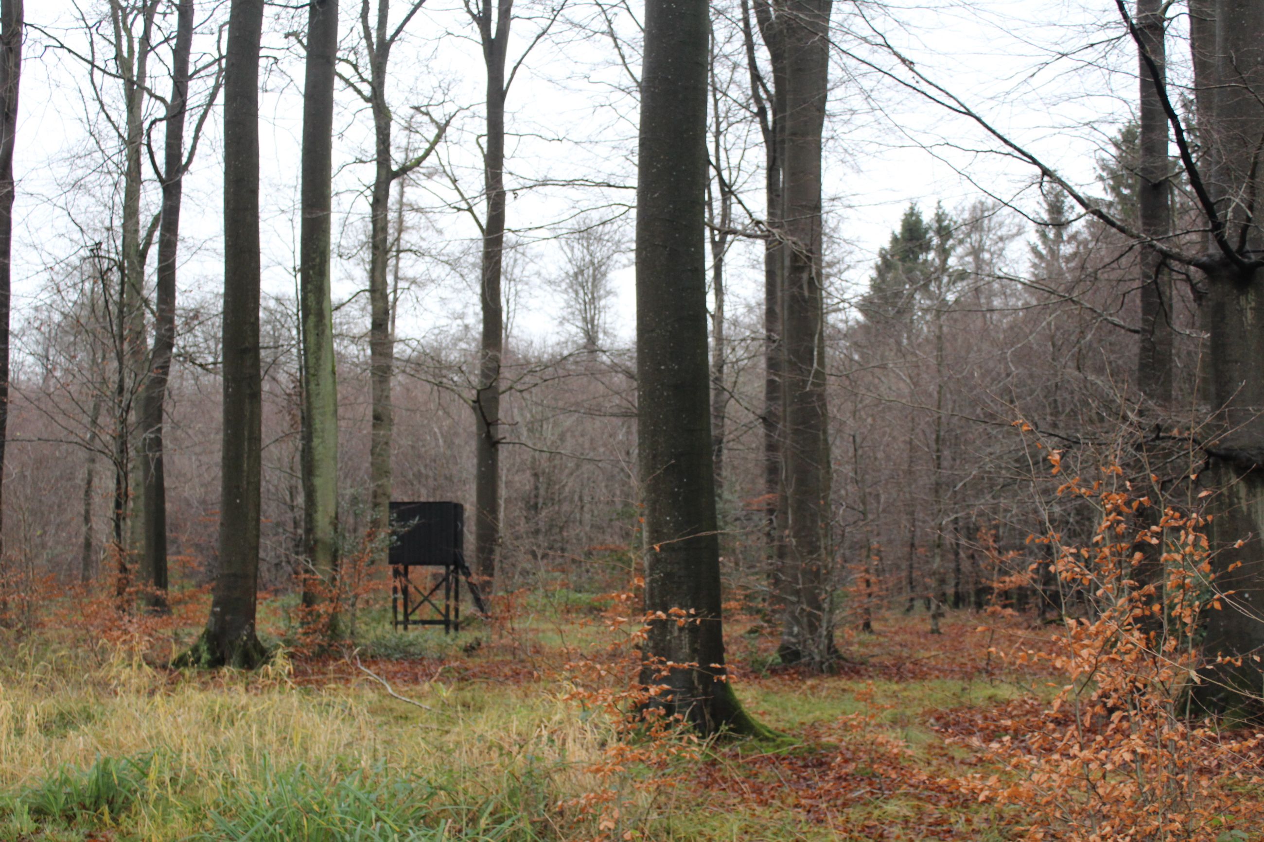  - Skullebjergvej 50, Trelde Mark