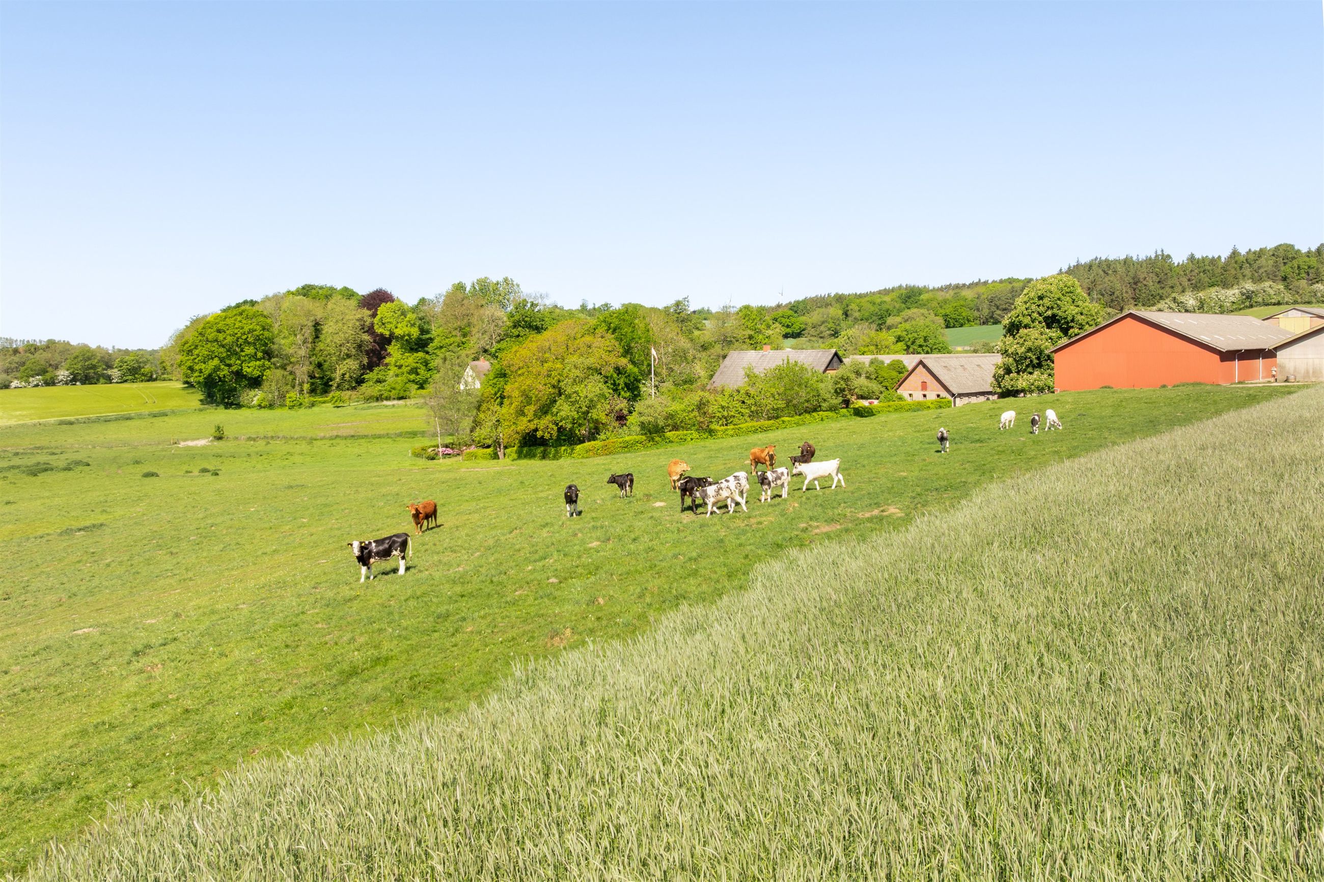  - Ammelhedevej 12, Ammelhede