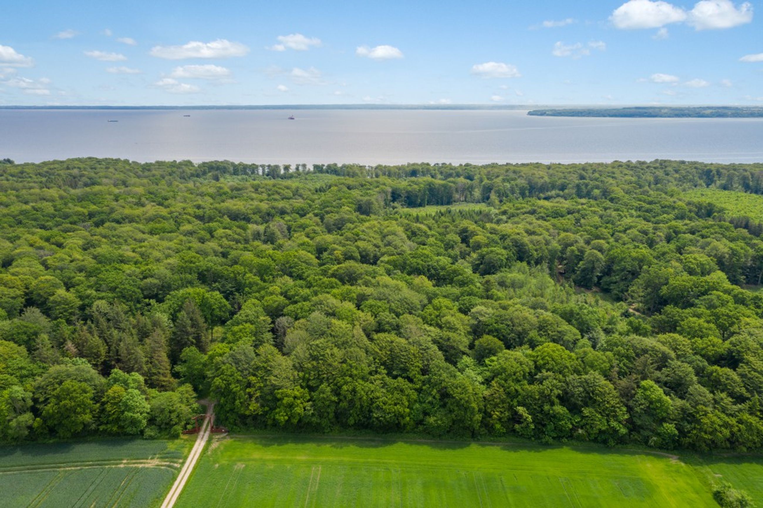  - Skullebjergvej 50, Trelde Mark