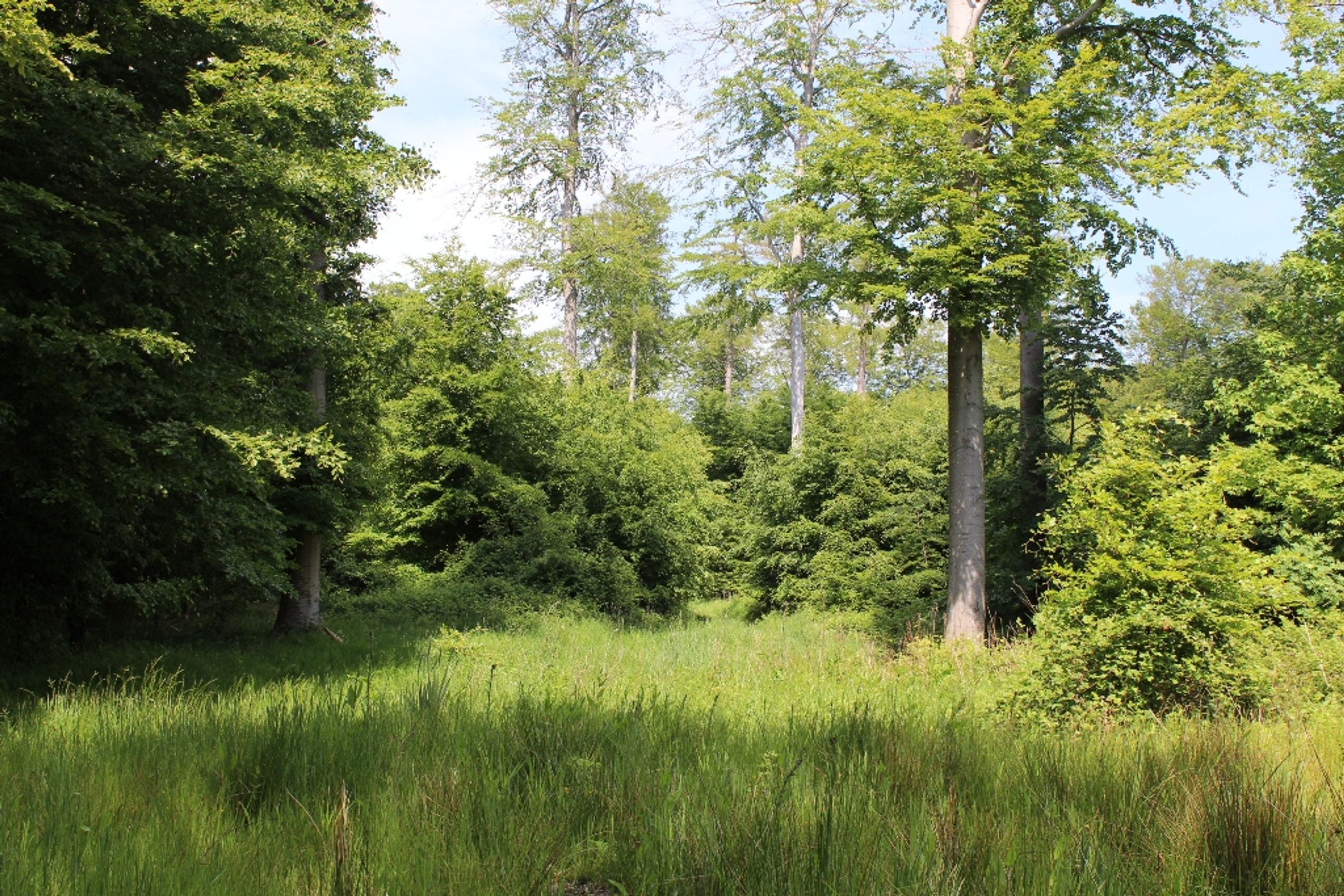  - Skullebjergvej 50, Trelde Mark