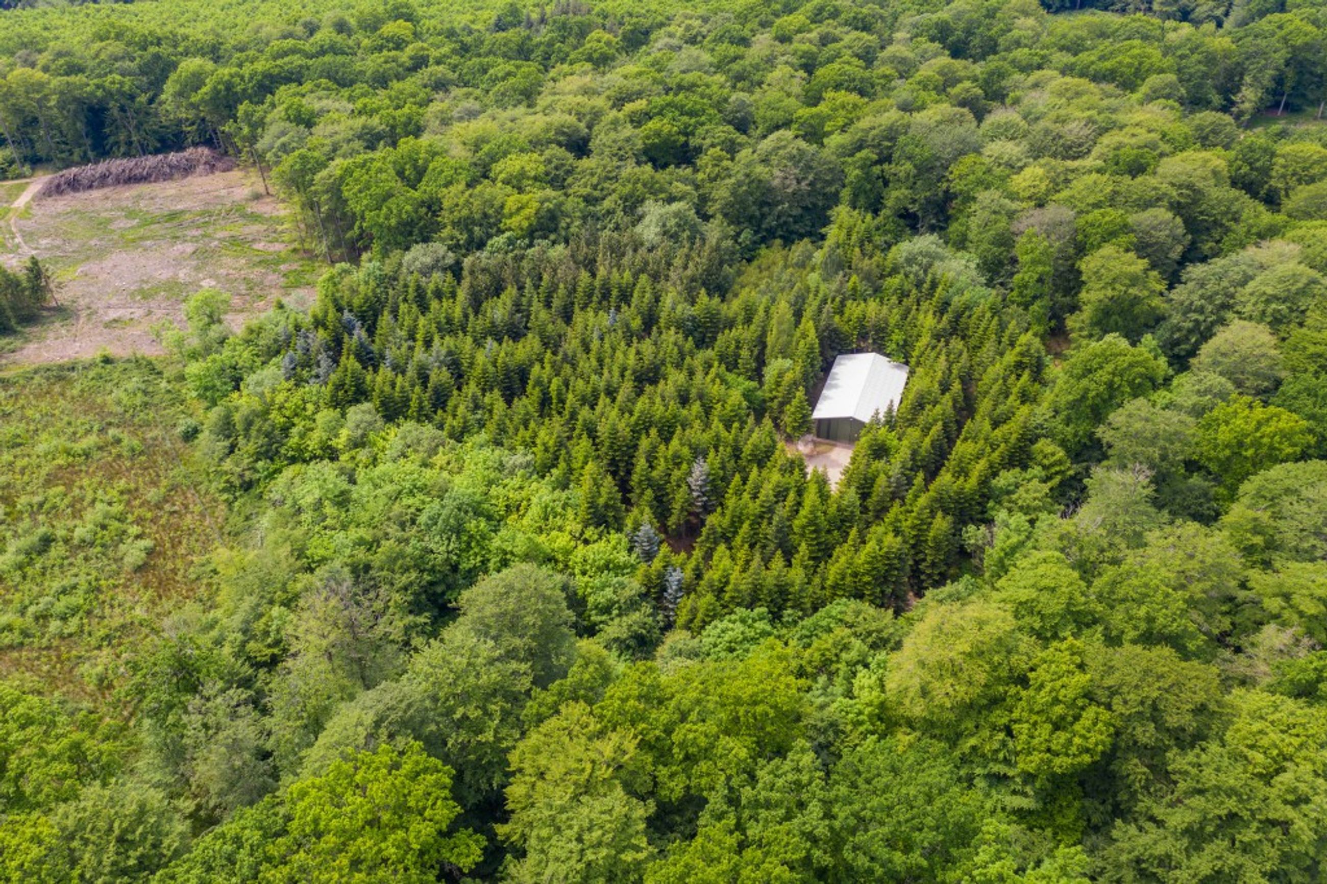  - Skullebjergvej 50, Trelde Mark