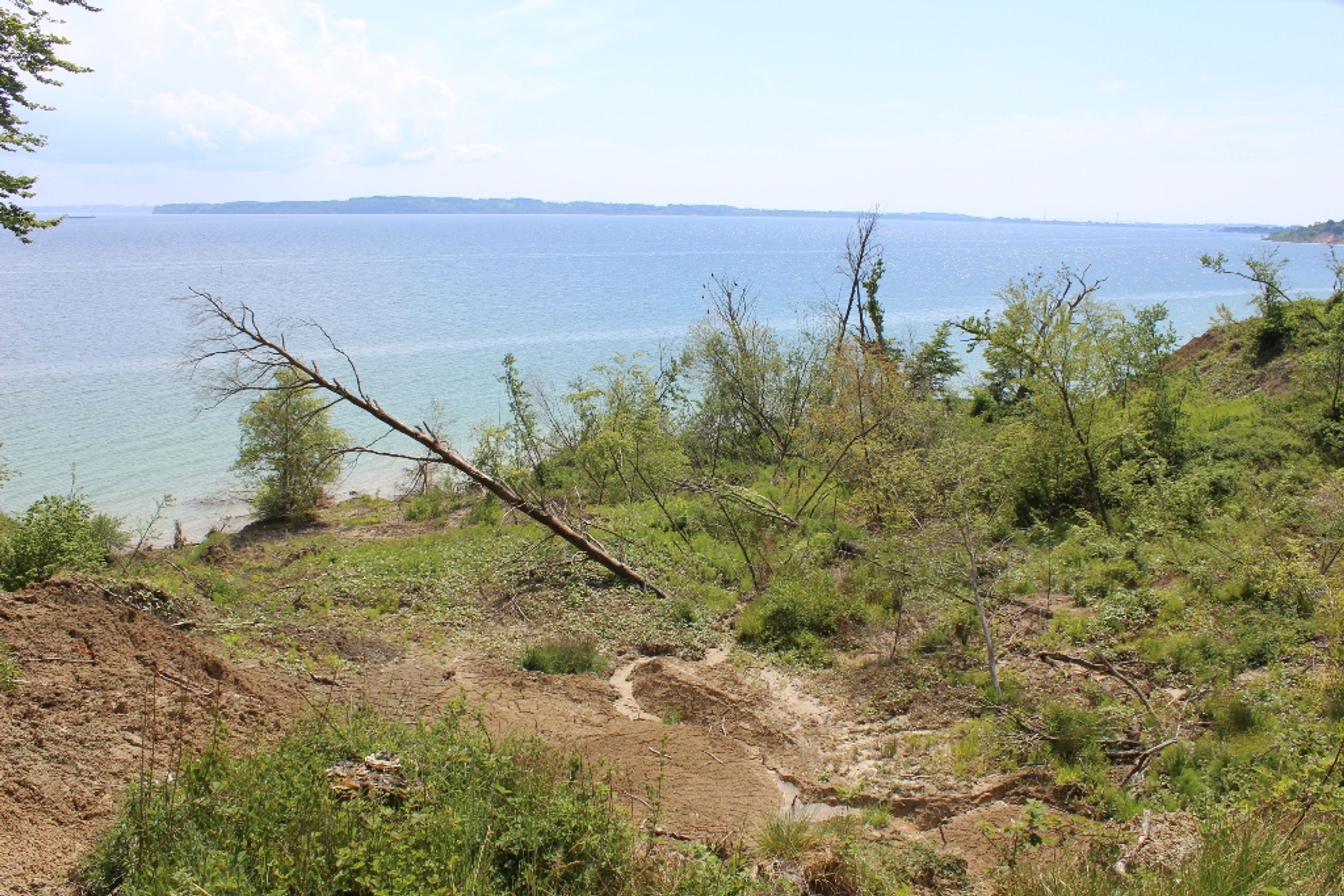  - Skullebjergvej 50, Trelde Mark