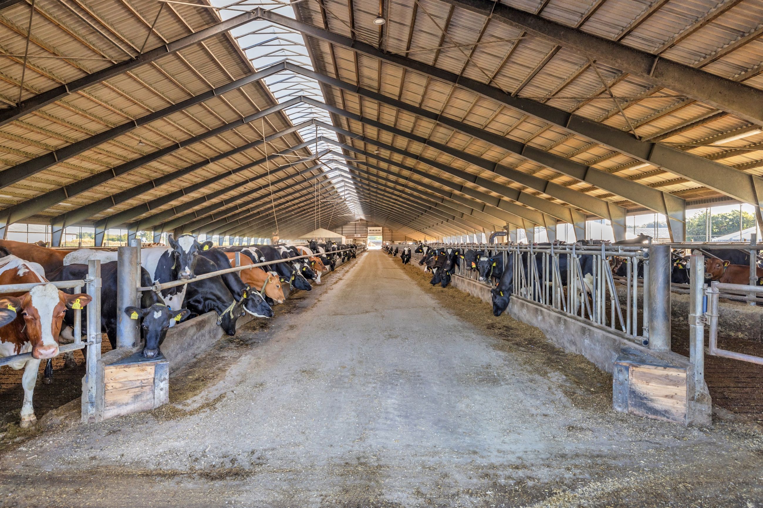  - Søndre Lyngvej 26, Aarsballe