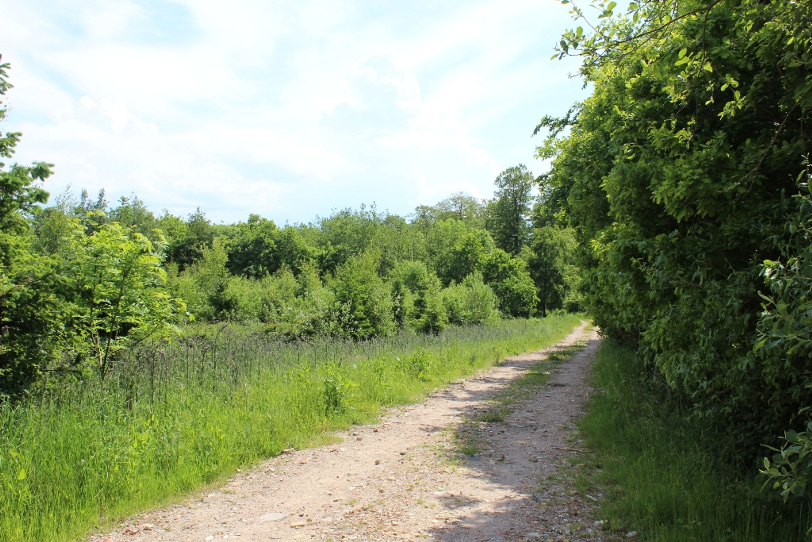  - Skullebjergvej 50, Trelde Mark