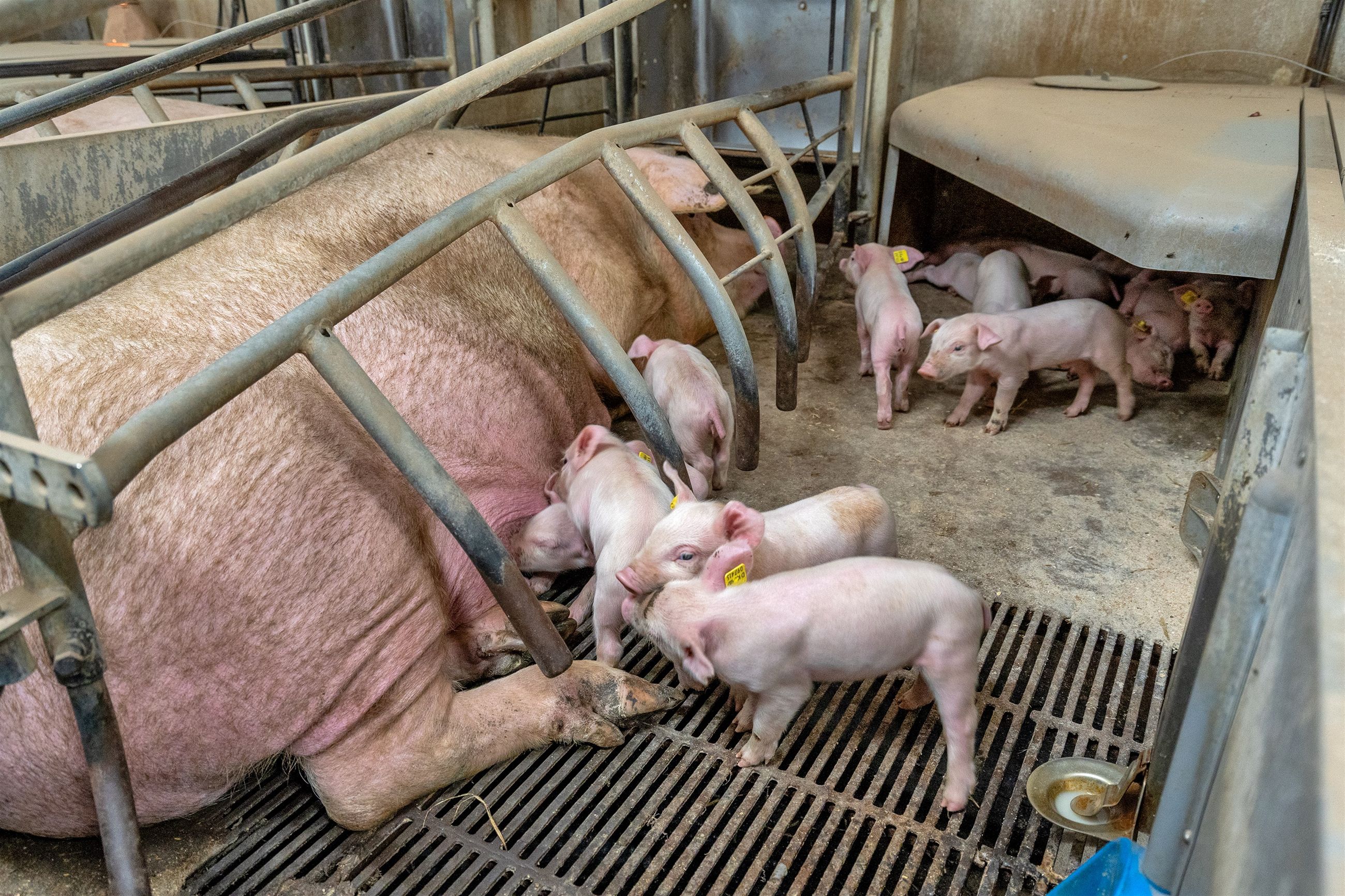  - Villerslevvej 75, Gammelby