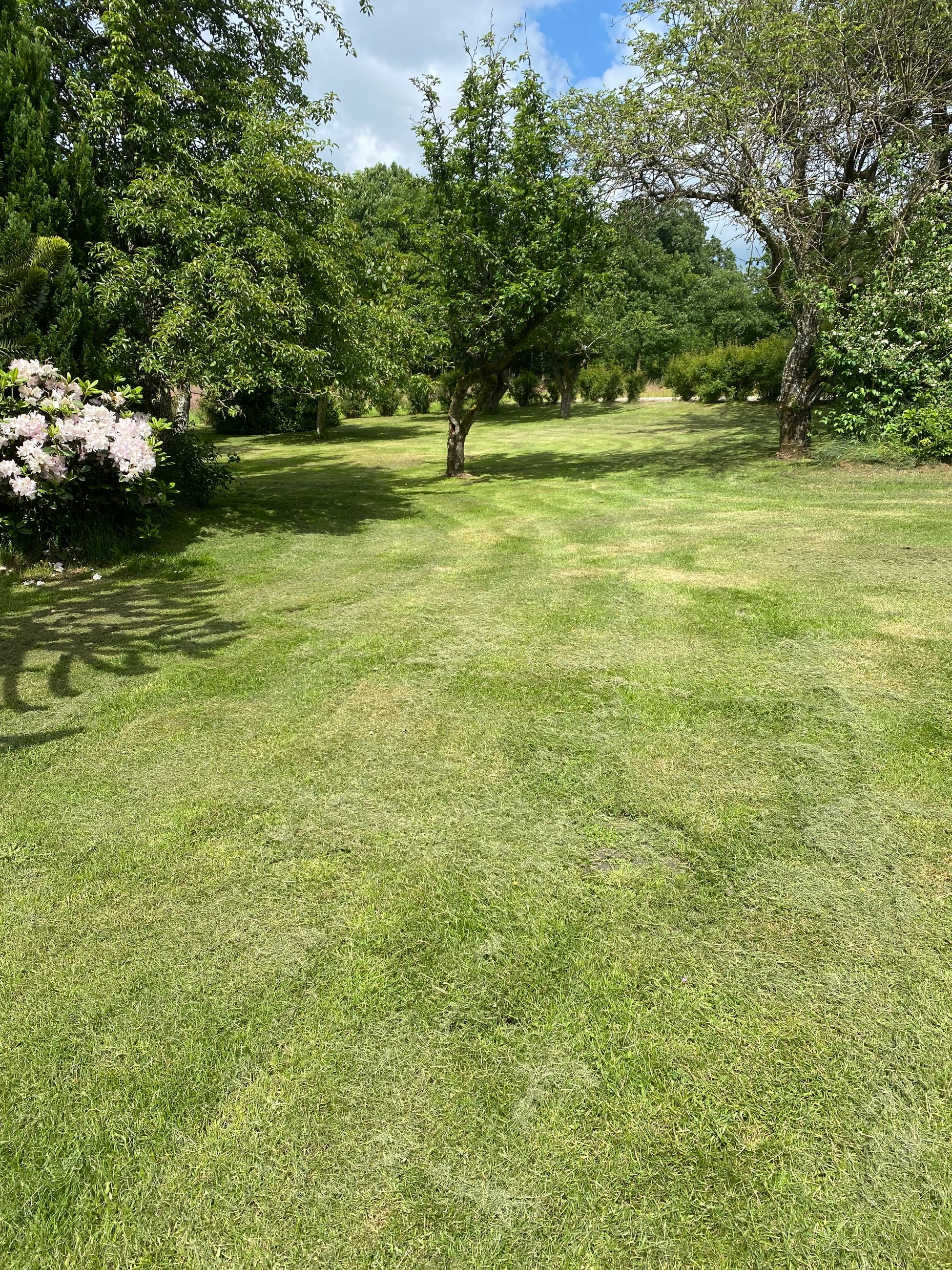  - Østenfjeldvej 21, Stadsevase