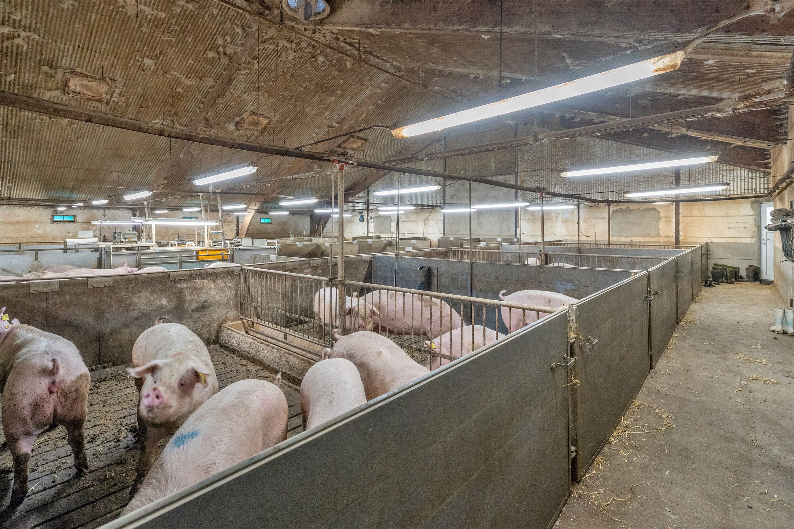  - Villerslevvej 75, Gammelby