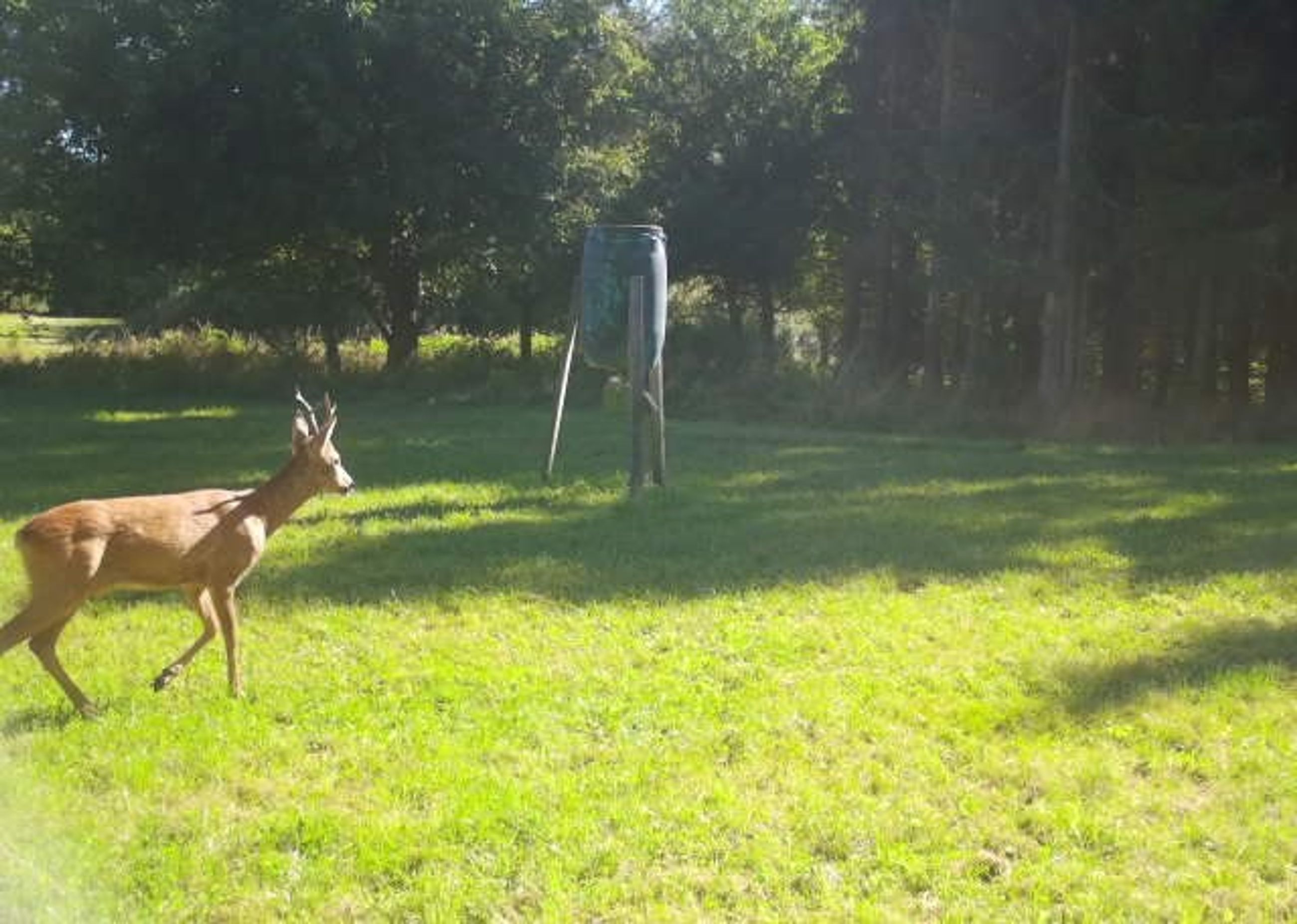  - Grønholtvej 4, Grønholt