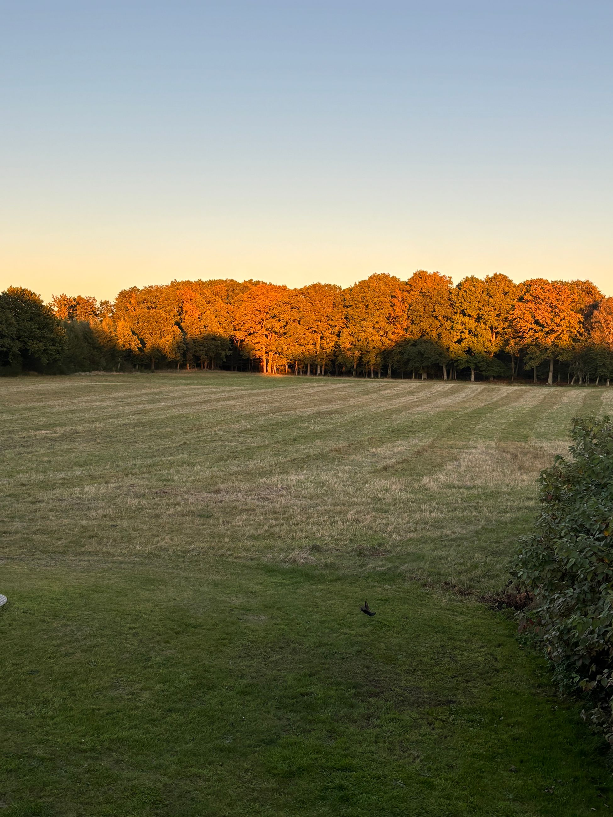  - Østenfjeldvej 21, Stadsevase