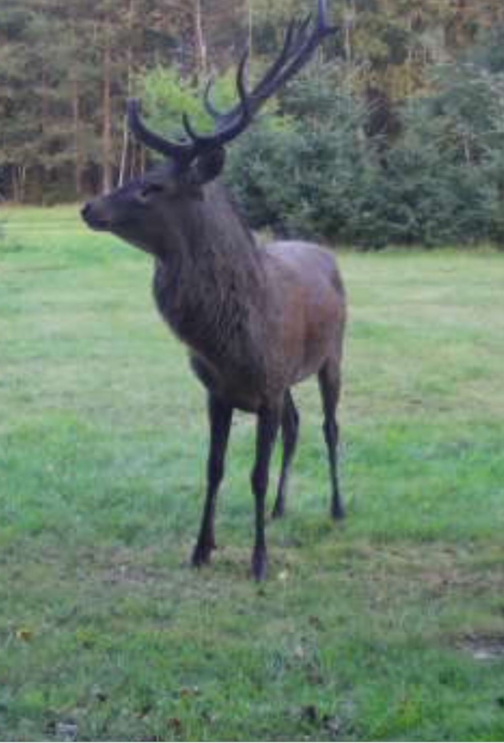  - Grønholtvej 4, Grønholt