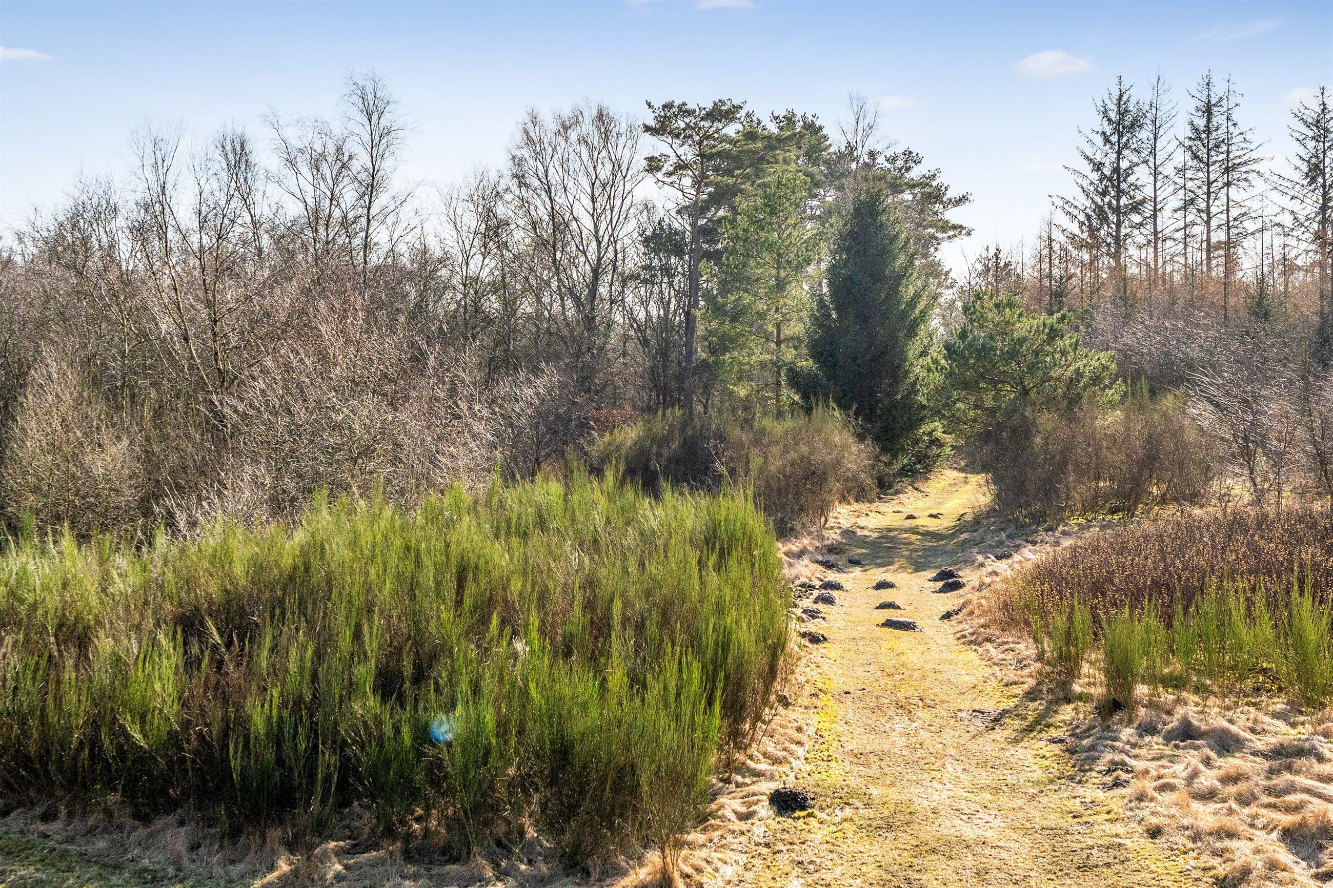  - Brande Landevej 18, Møbjerg