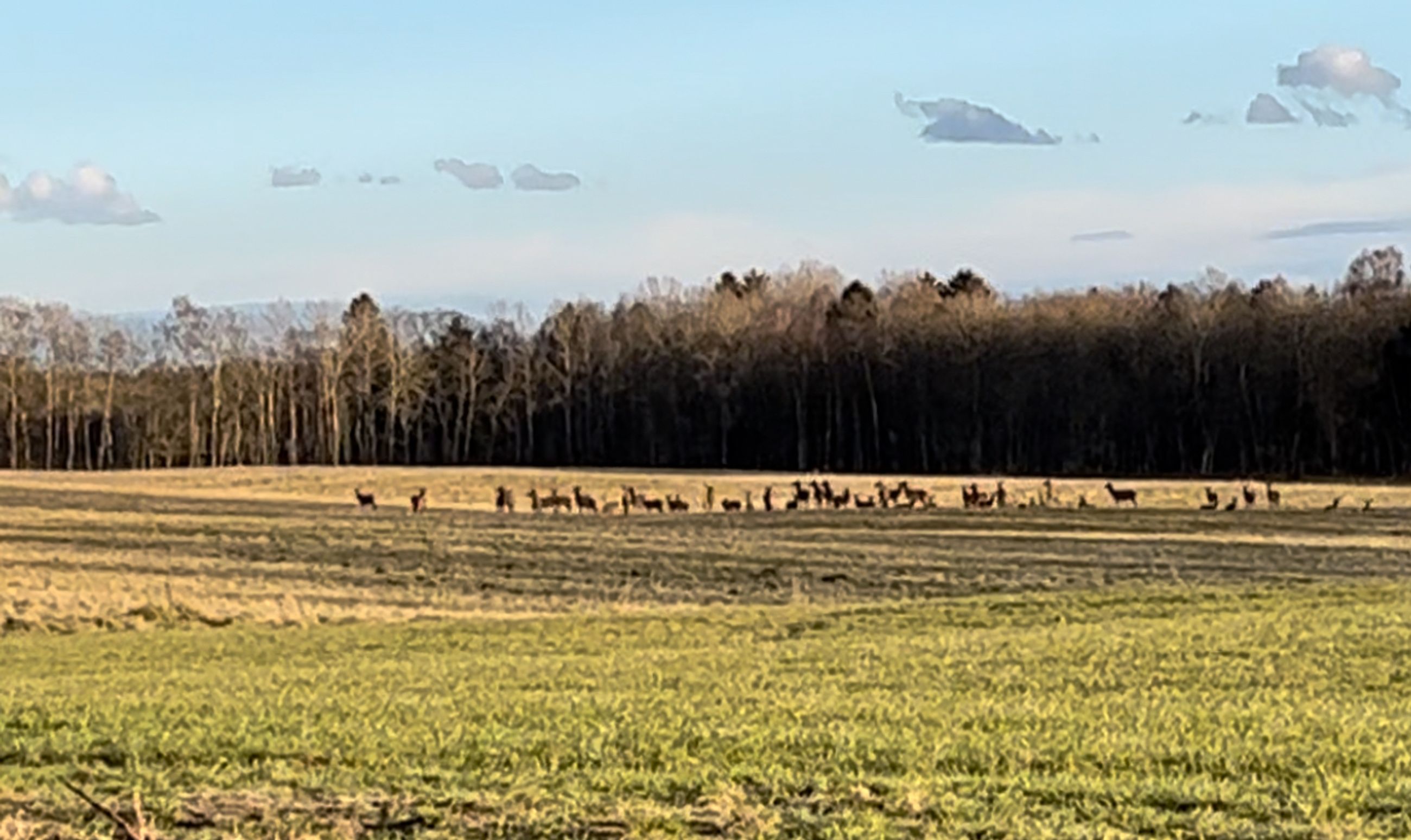  - Østenfjeldvej 21, Stadsevase