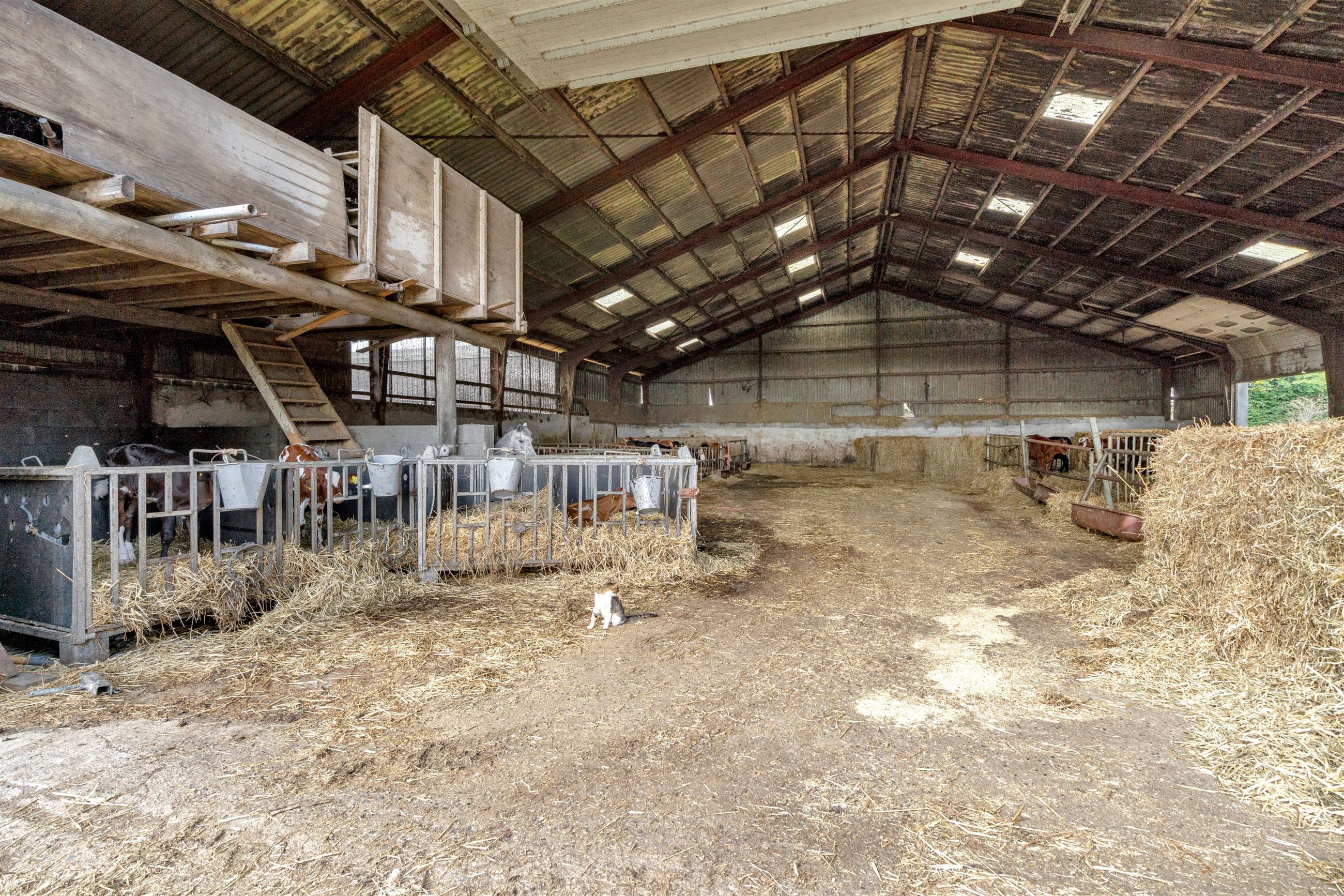  - Lykkebjergvej 60, Sig