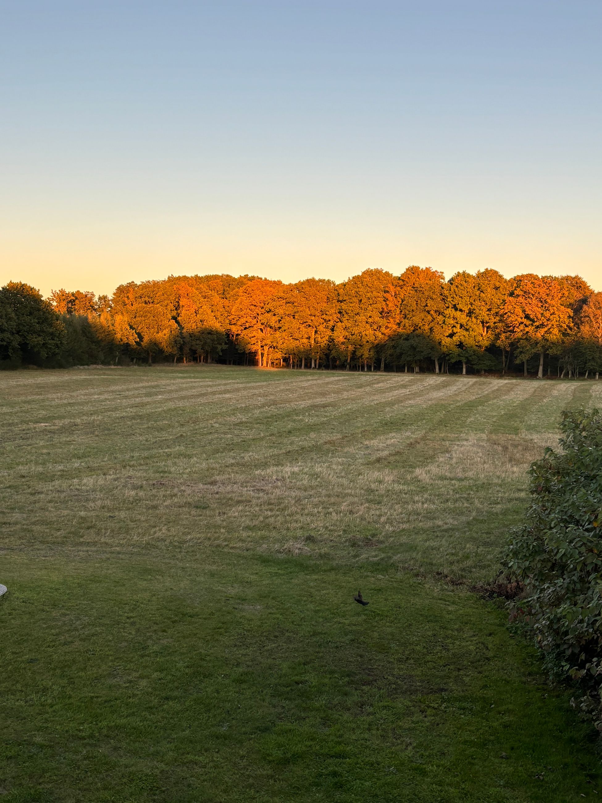  - Østenfjeldvej 21, Stadsevase