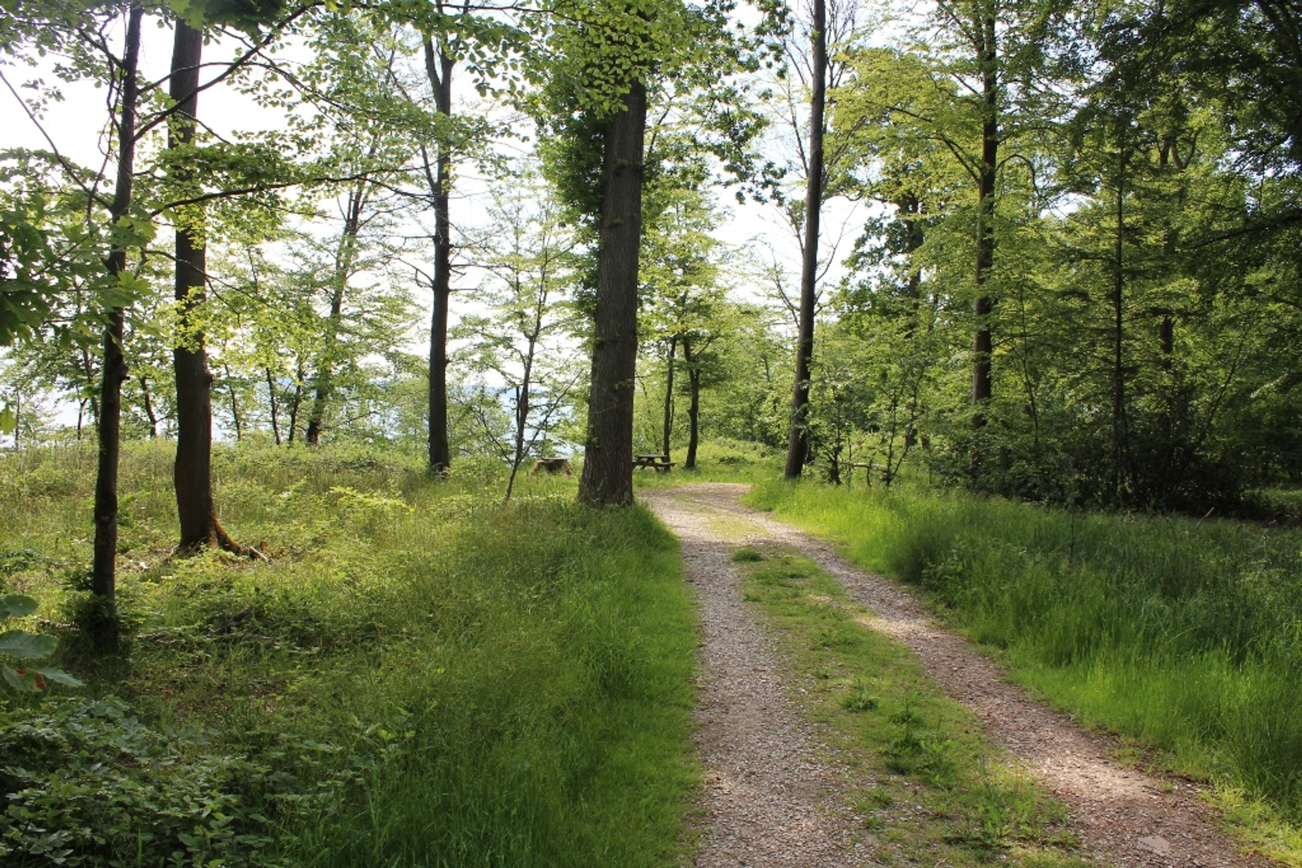  - Skullebjergvej 50, Trelde Mark
