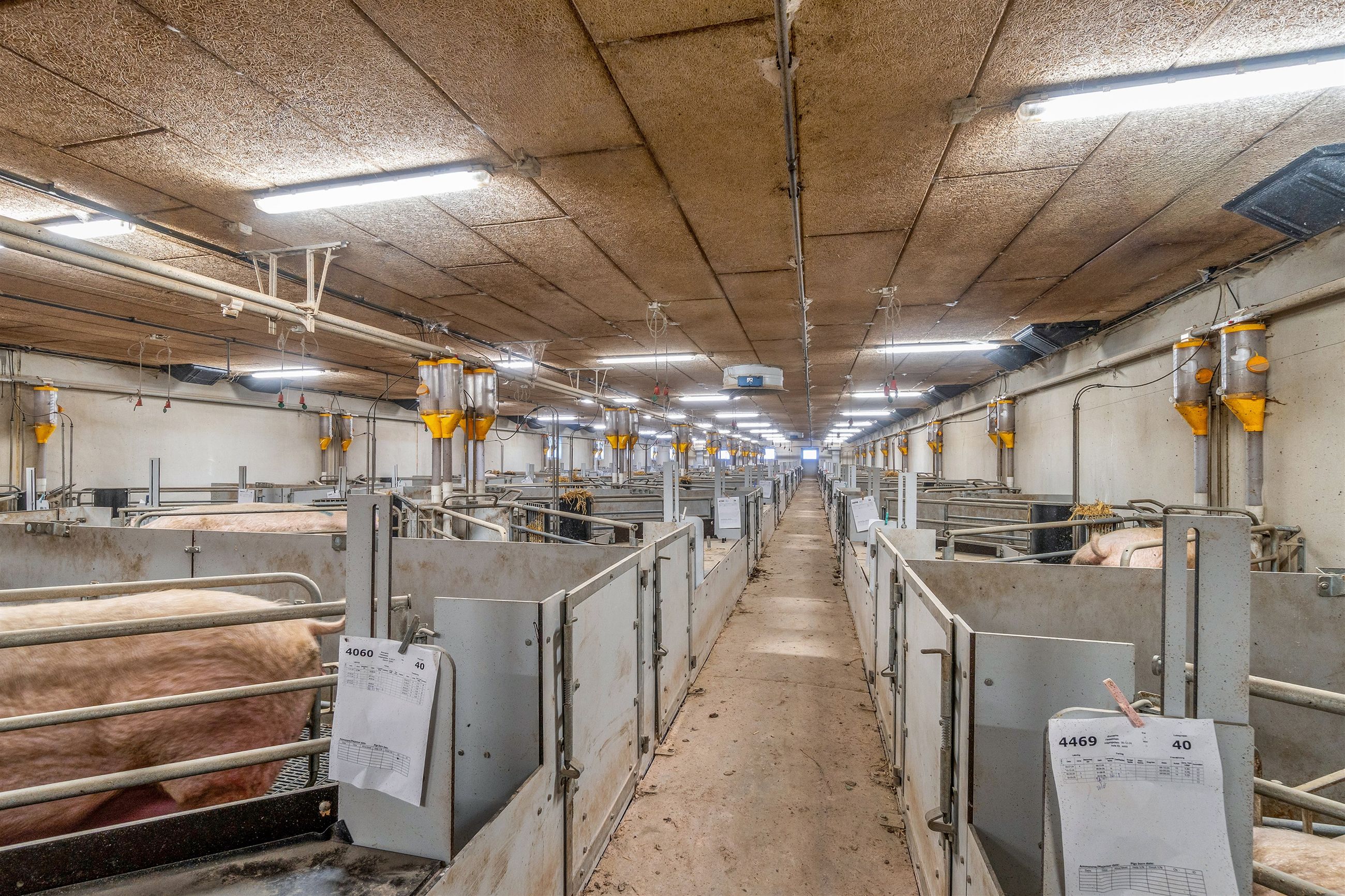  - Søndre Landevej 77, Pedersker