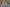 - Sellerupvej 23, Sellerup