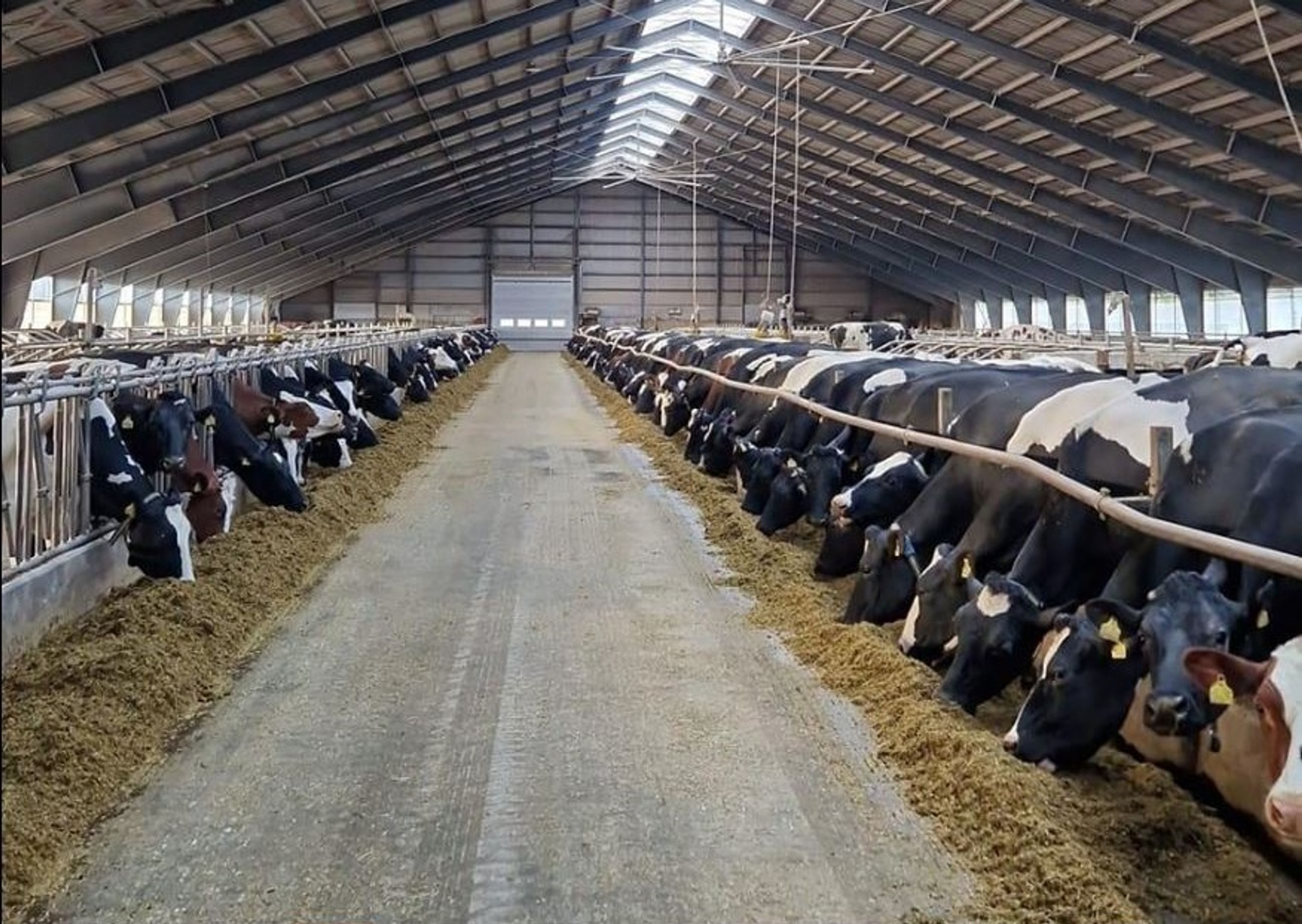  - Søndre Lyngvej 26, Aarsballe